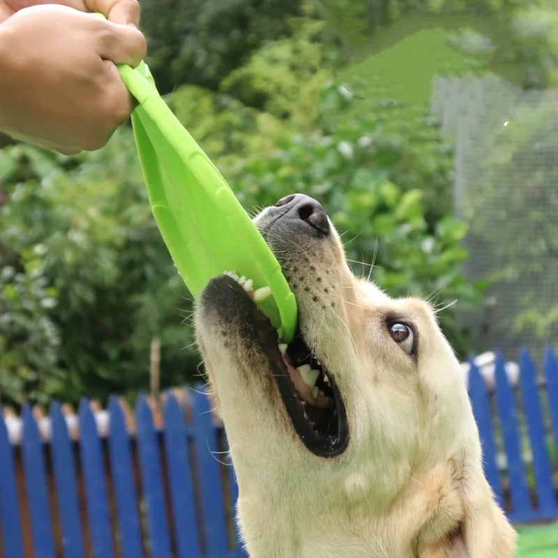Nordspur | Aerofetch Flexible Pet Flying Disc
