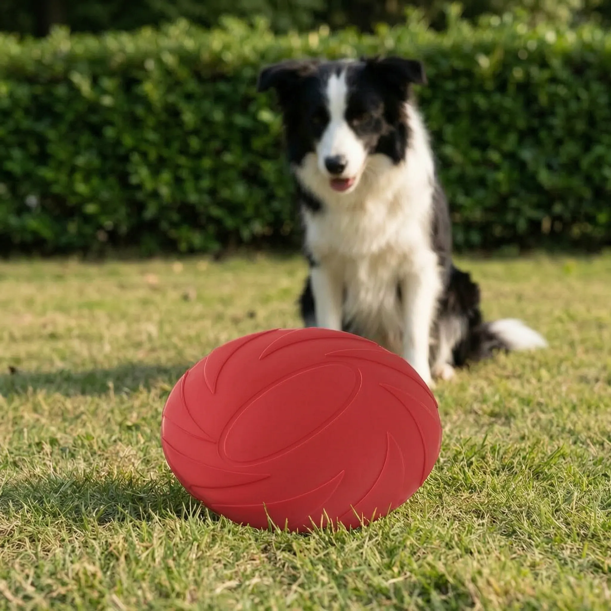 Nordspur | Aerofetch Flexible Pet Flying Disc