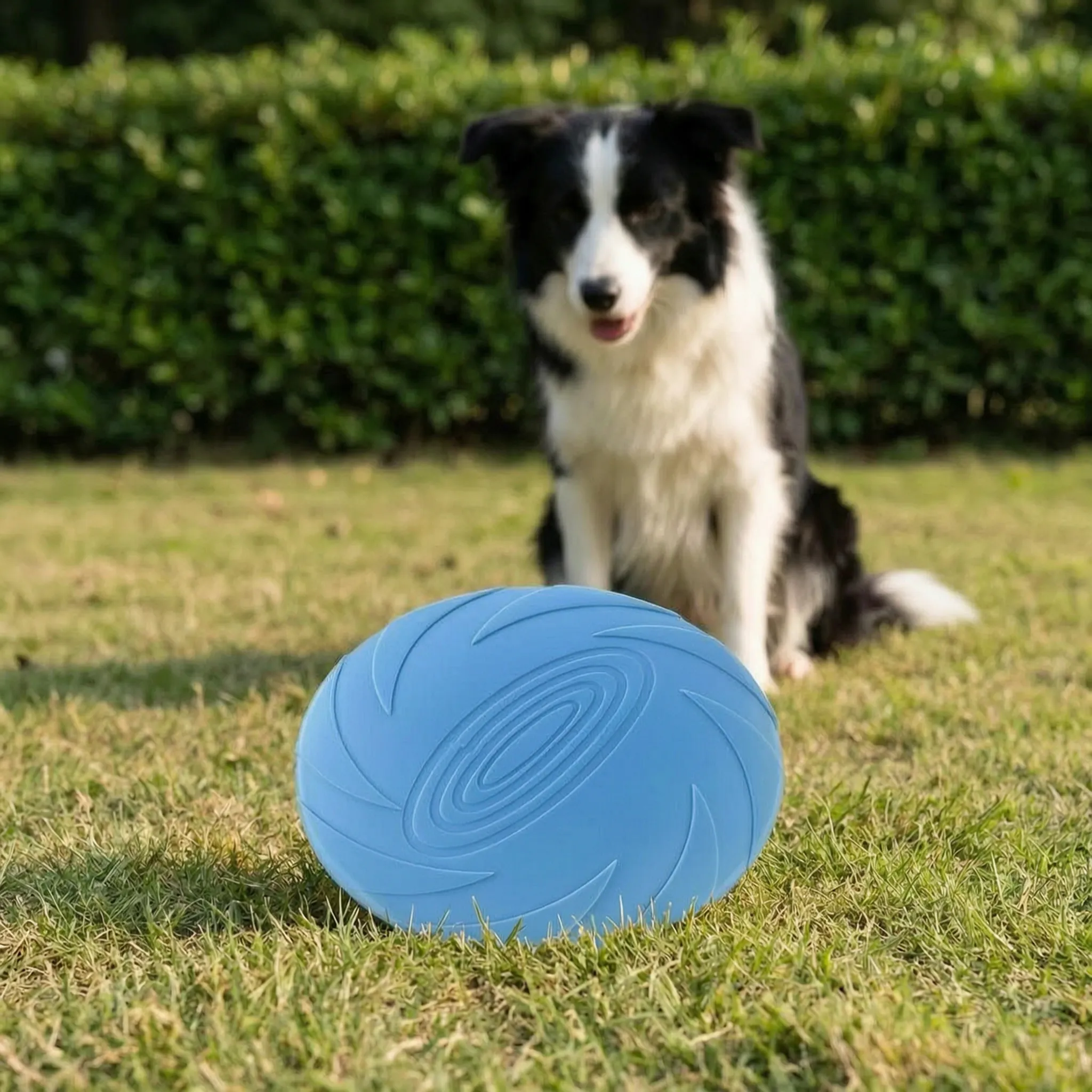 Nordspur | Aerofetch Flexible Pet Flying Disc