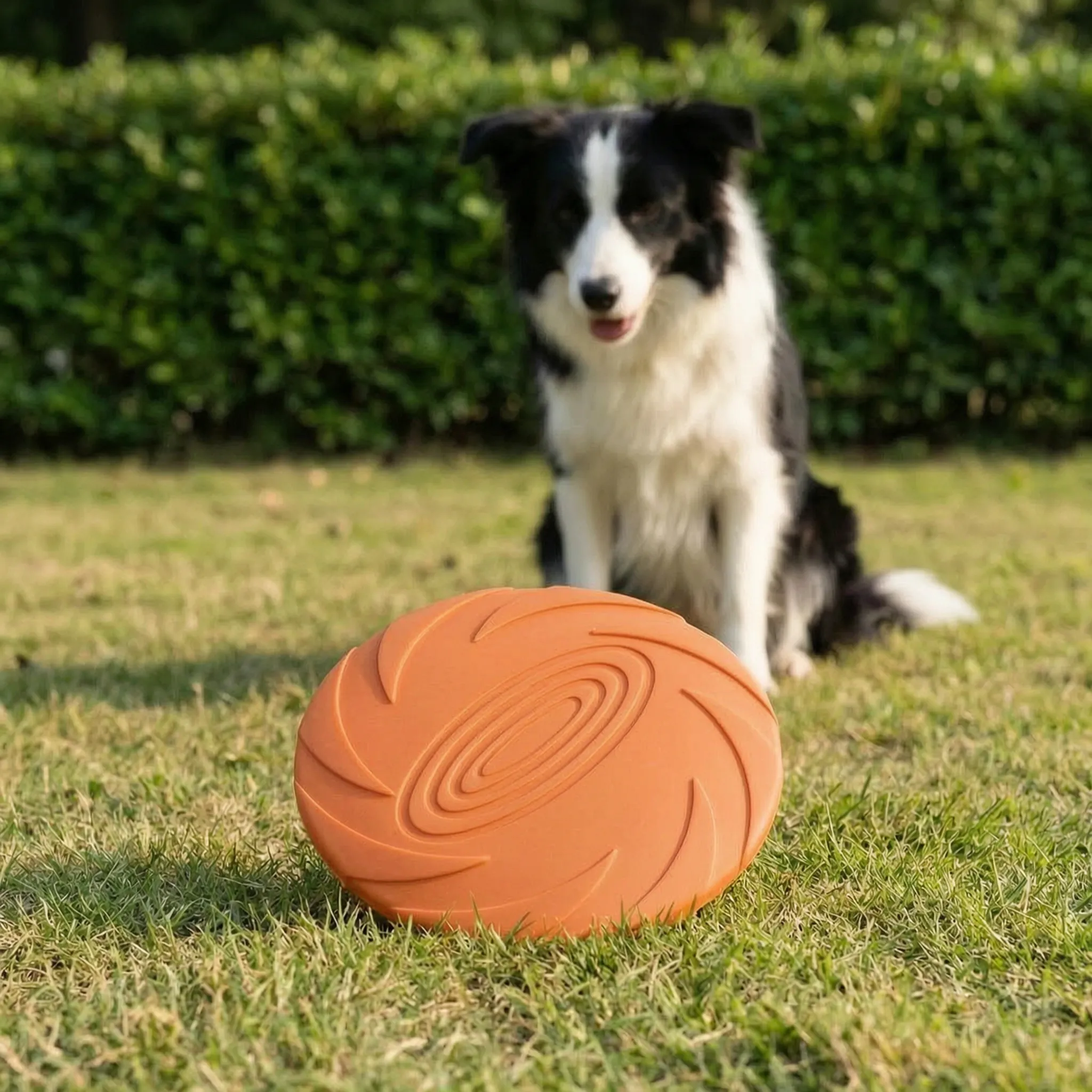 Nordspur | Aerofetch Flexible Pet Flying Disc