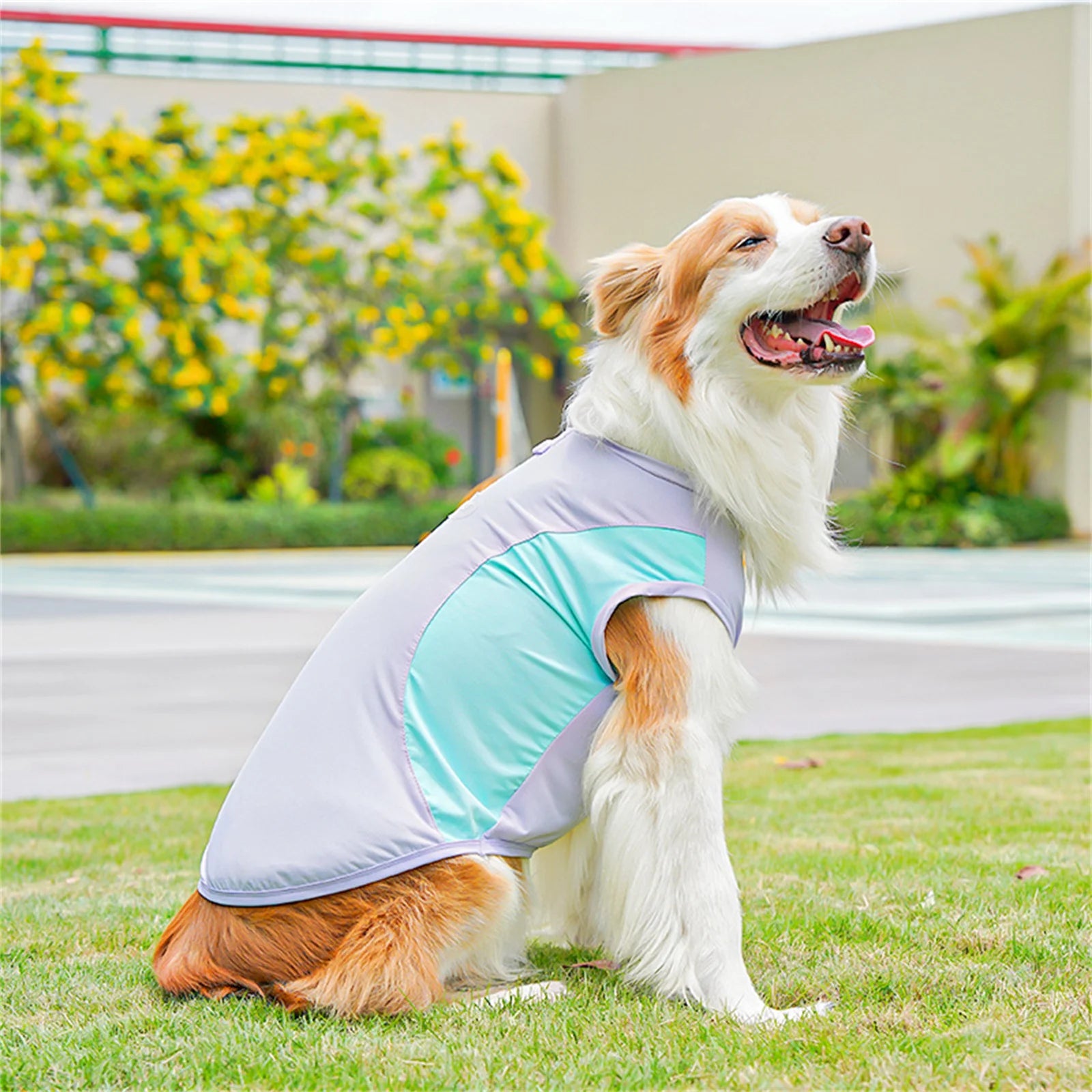 Nordspur | Aeromutt Lightweight Summer Dog Vest