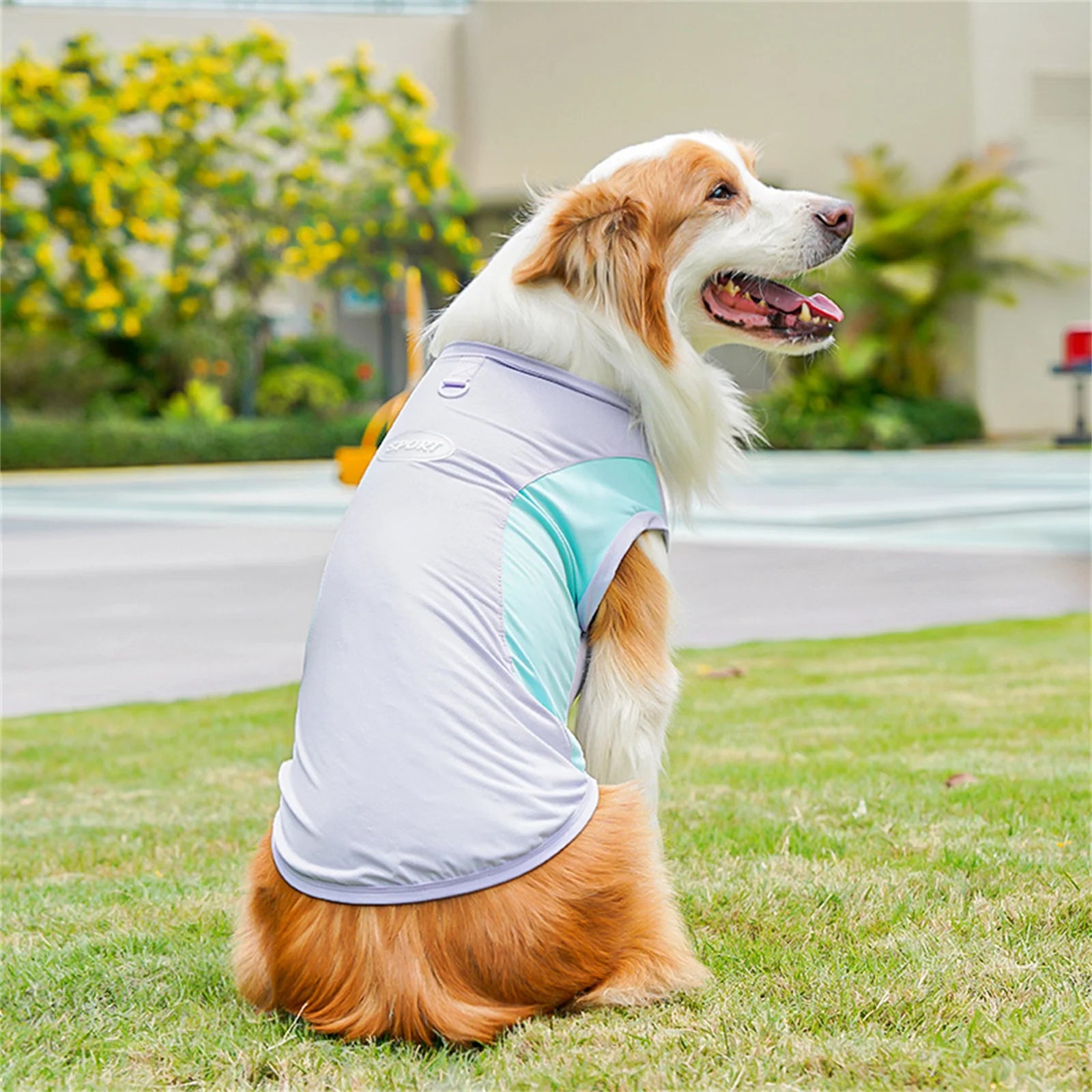 Nordspur | Aeromutt Lightweight Summer Dog Vest