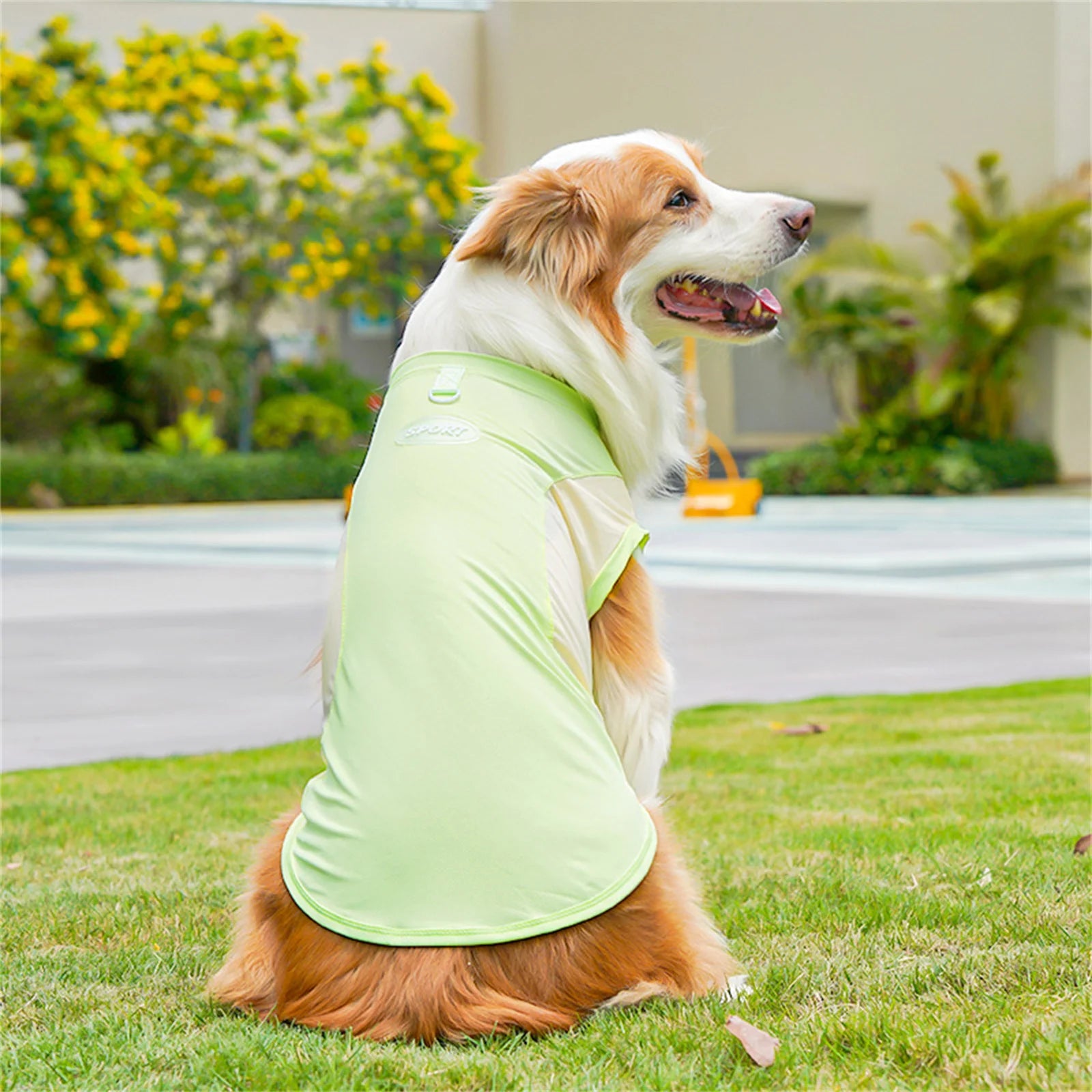 Nordspur | Aeromutt Lightweight Summer Dog Vest
