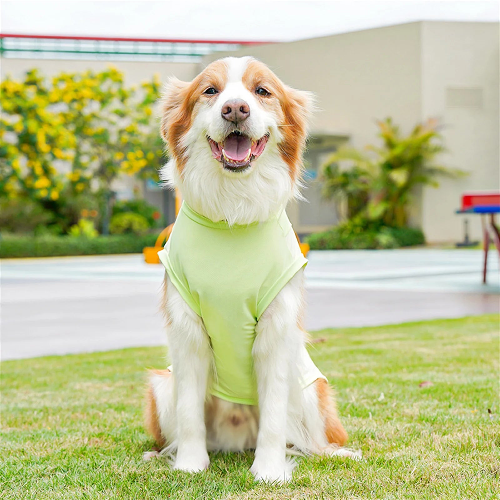 Nordspur | Aeromutt Lightweight Summer Dog Vest