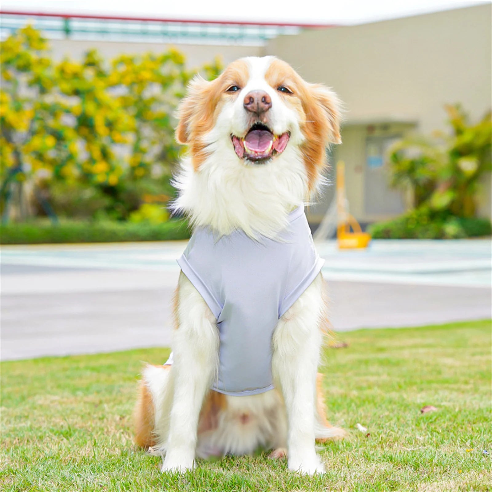 Nordspur | Aeromutt Lightweight Summer Dog Vest