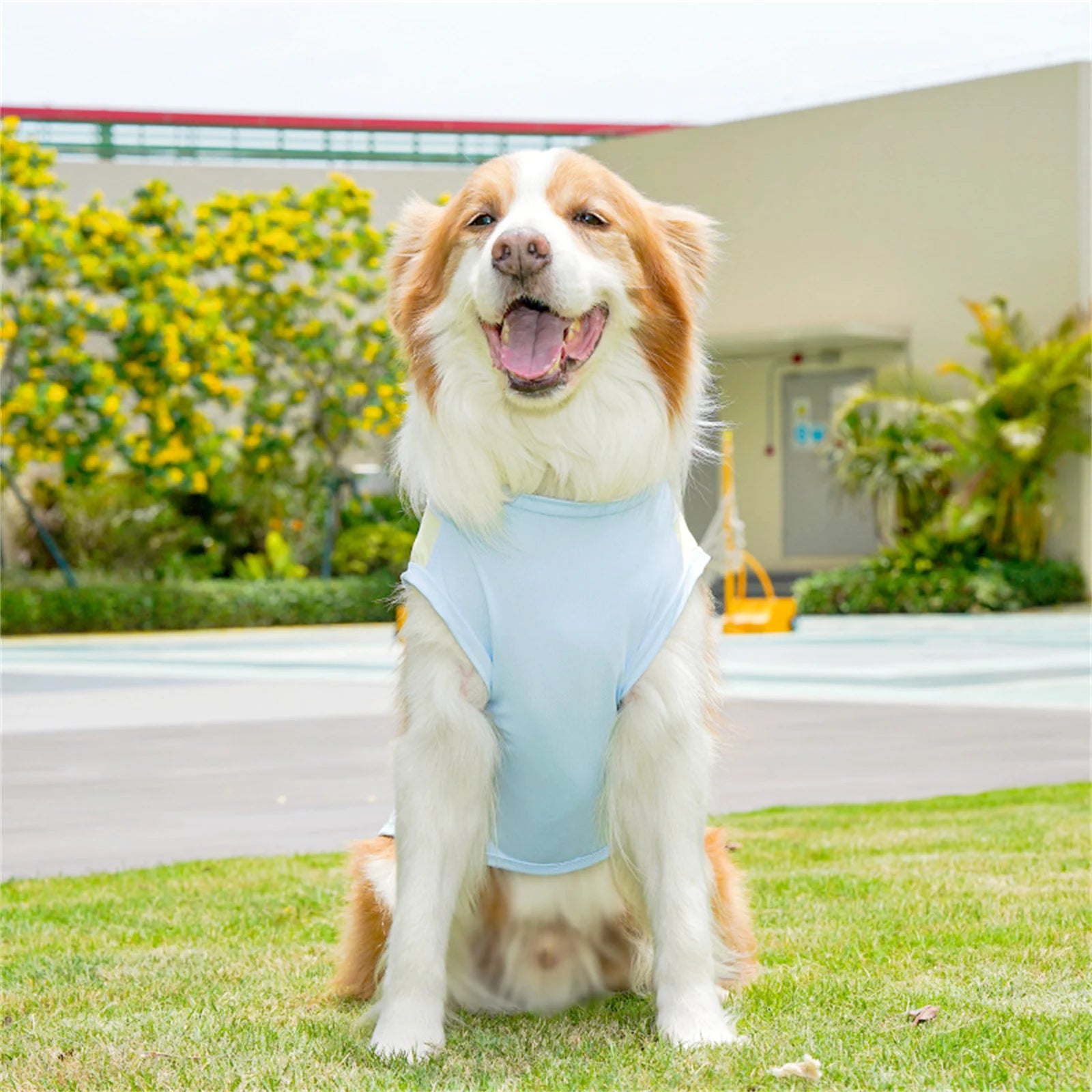 Nordspur | Aeromutt Lightweight Summer Dog Vest