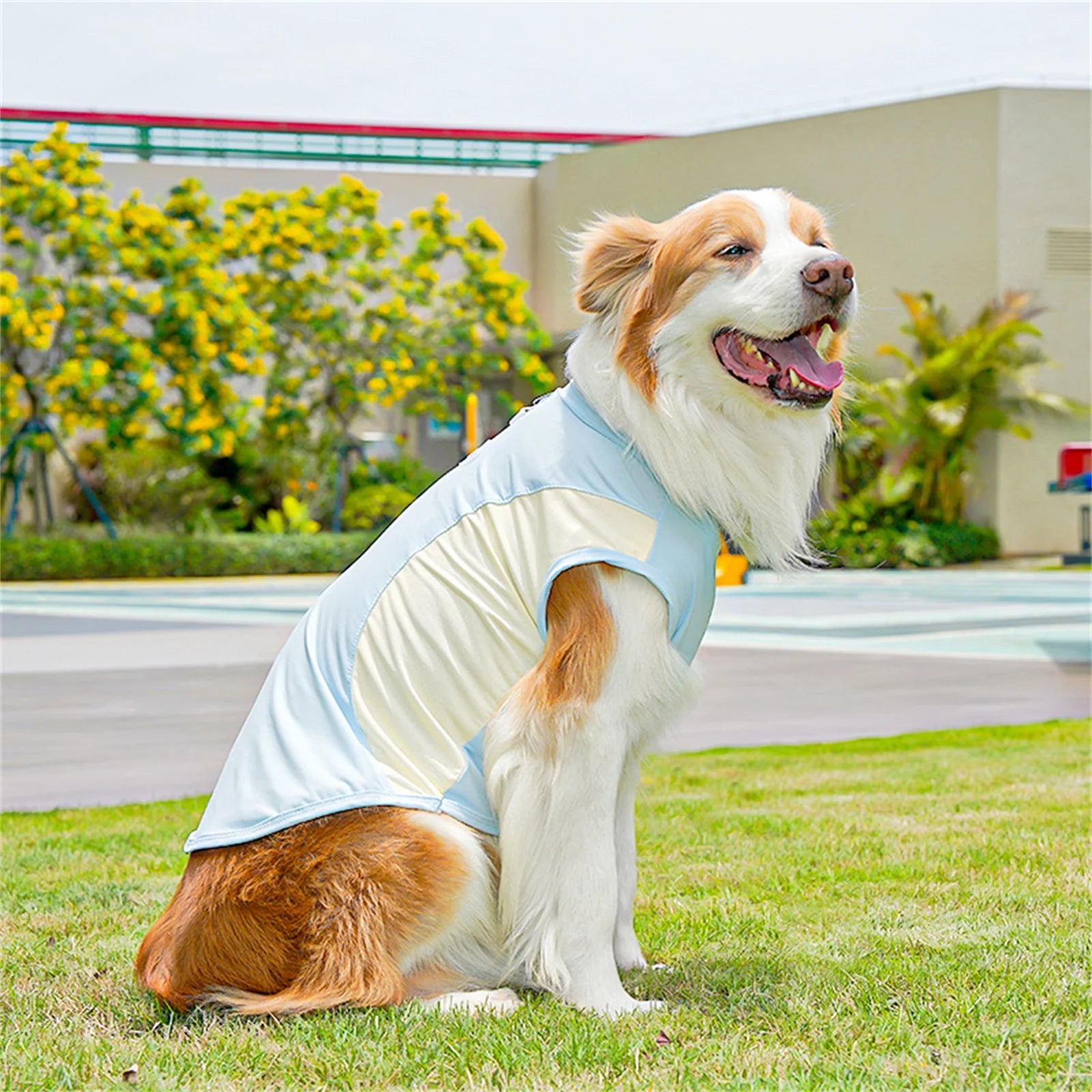 Nordspur | Aeromutt Lightweight Summer Dog Vest