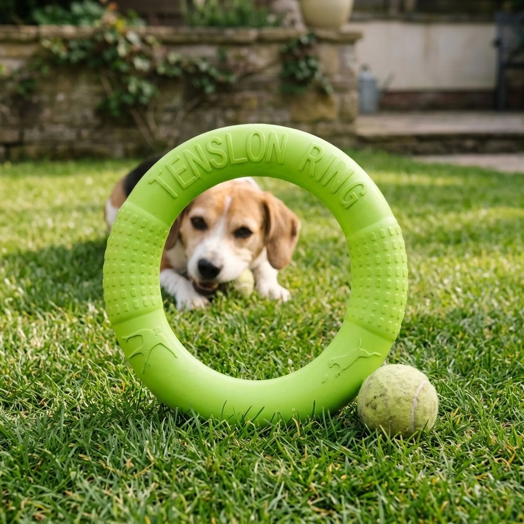 Nordspur | Aerotug Buoyant Interactive Dog Toy