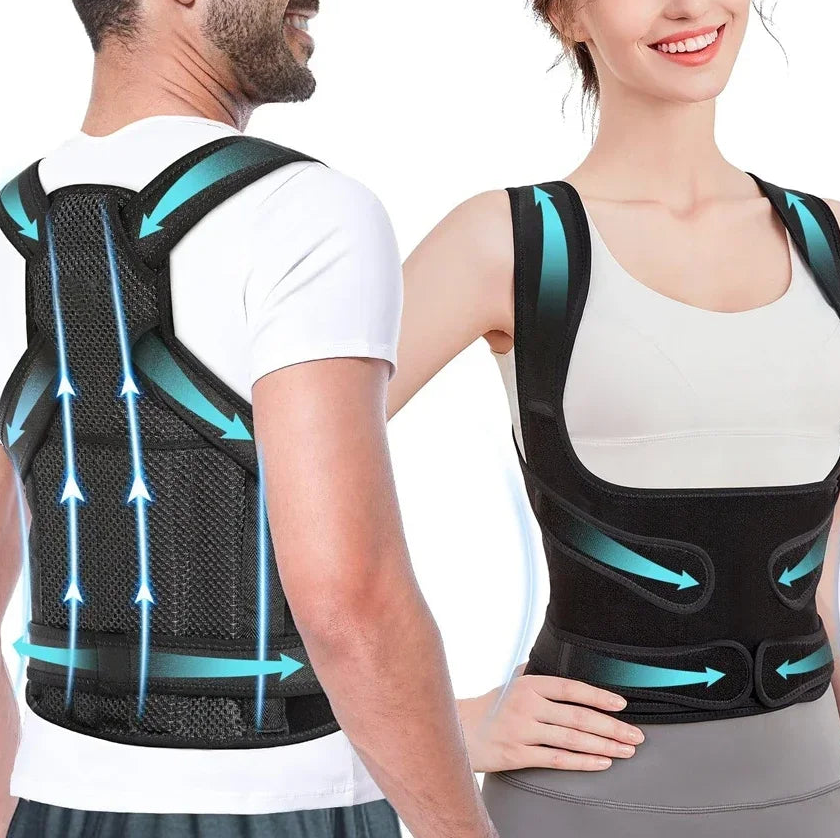 Nordspur | Alignora Full Back Posture Support