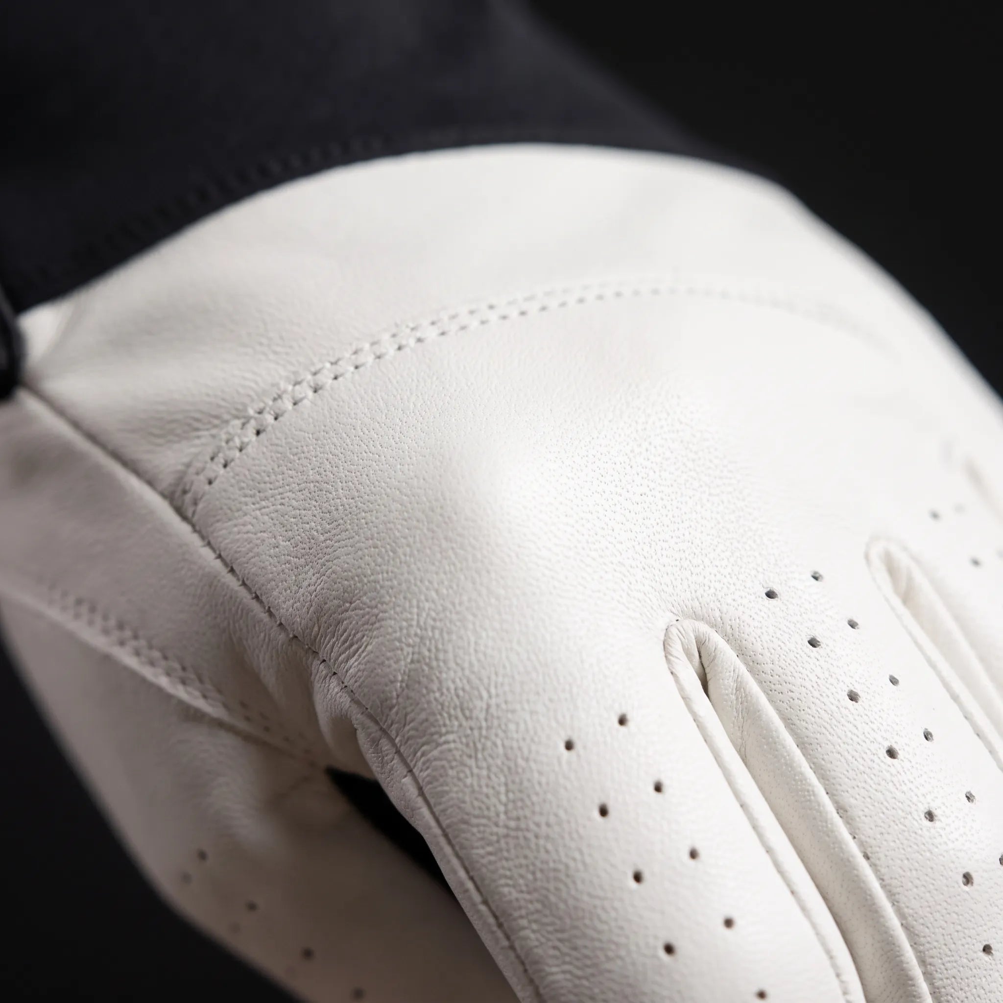 Nordspur | Alpengrip Thick Adjustable Winter Ski Gloves