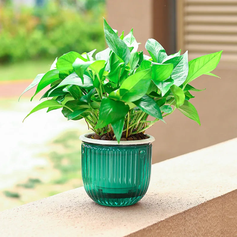 Nordspur | Aqualise Self-Watering Hanging Planter