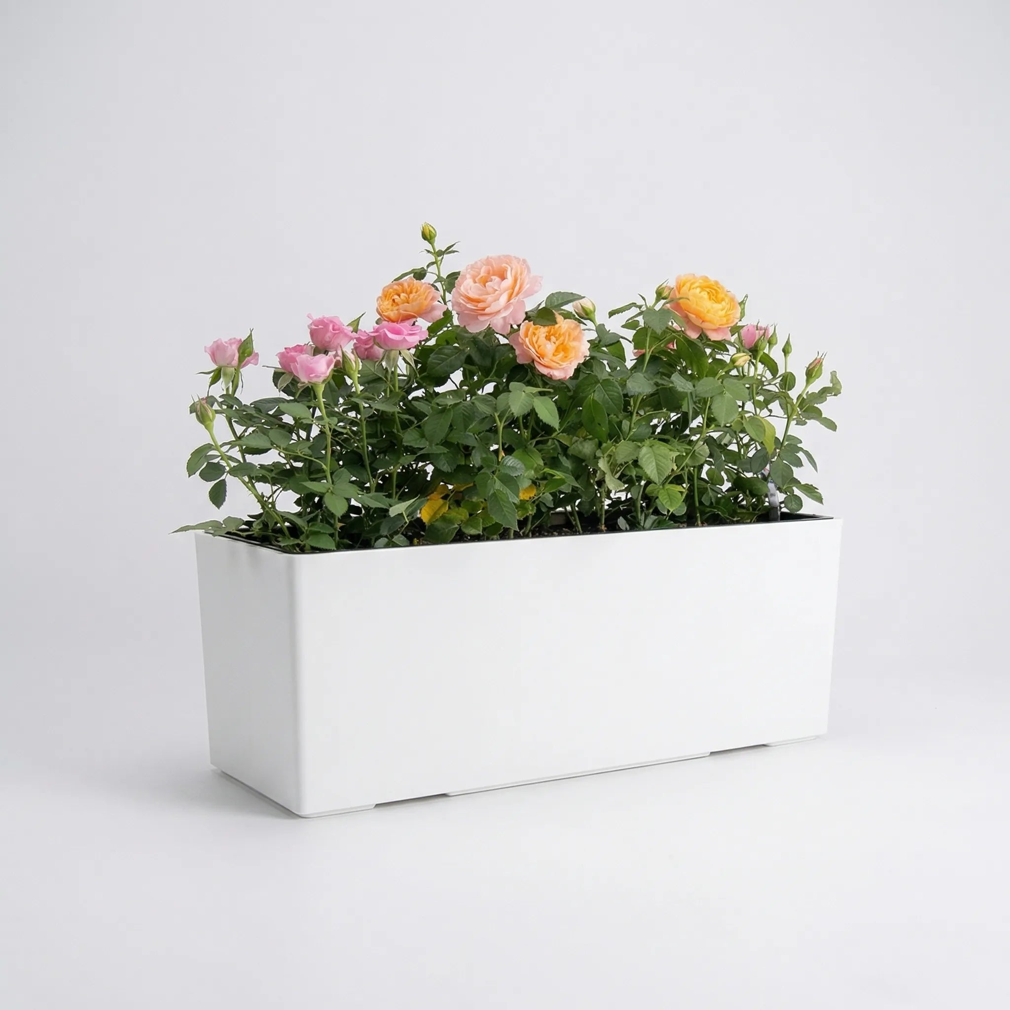 Nordspur | Aquaverde Rectangular Self-Watering Indoor Planter