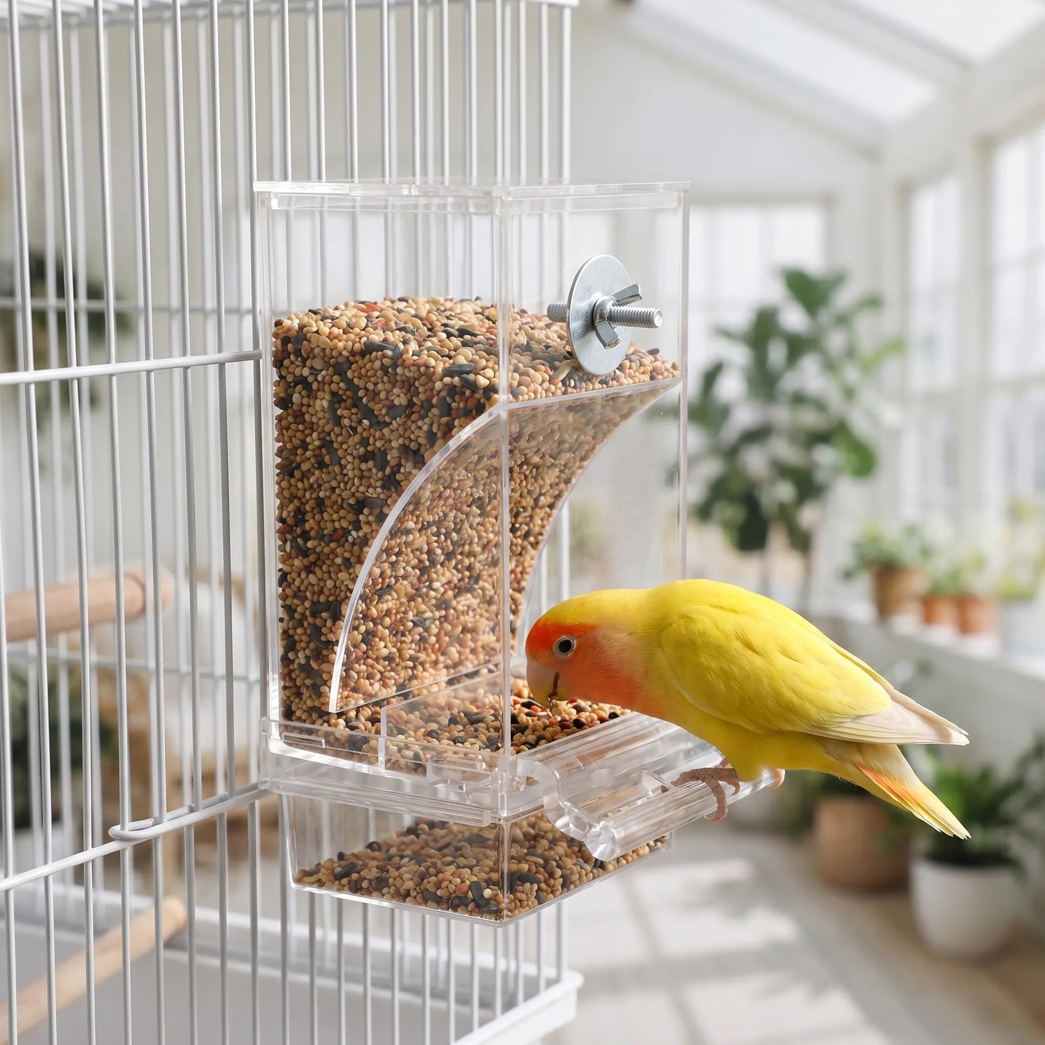Nordspur | AviaDine Transparent Cage Bird Feeder