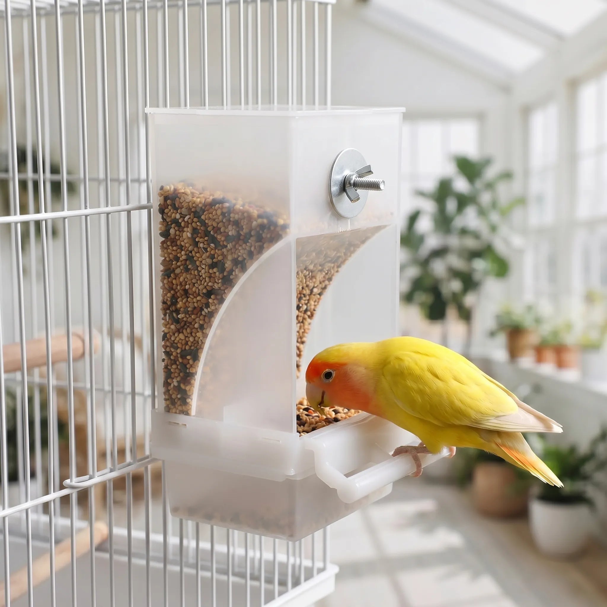 Nordspur | AviaDine Transparent Cage Bird Feeder