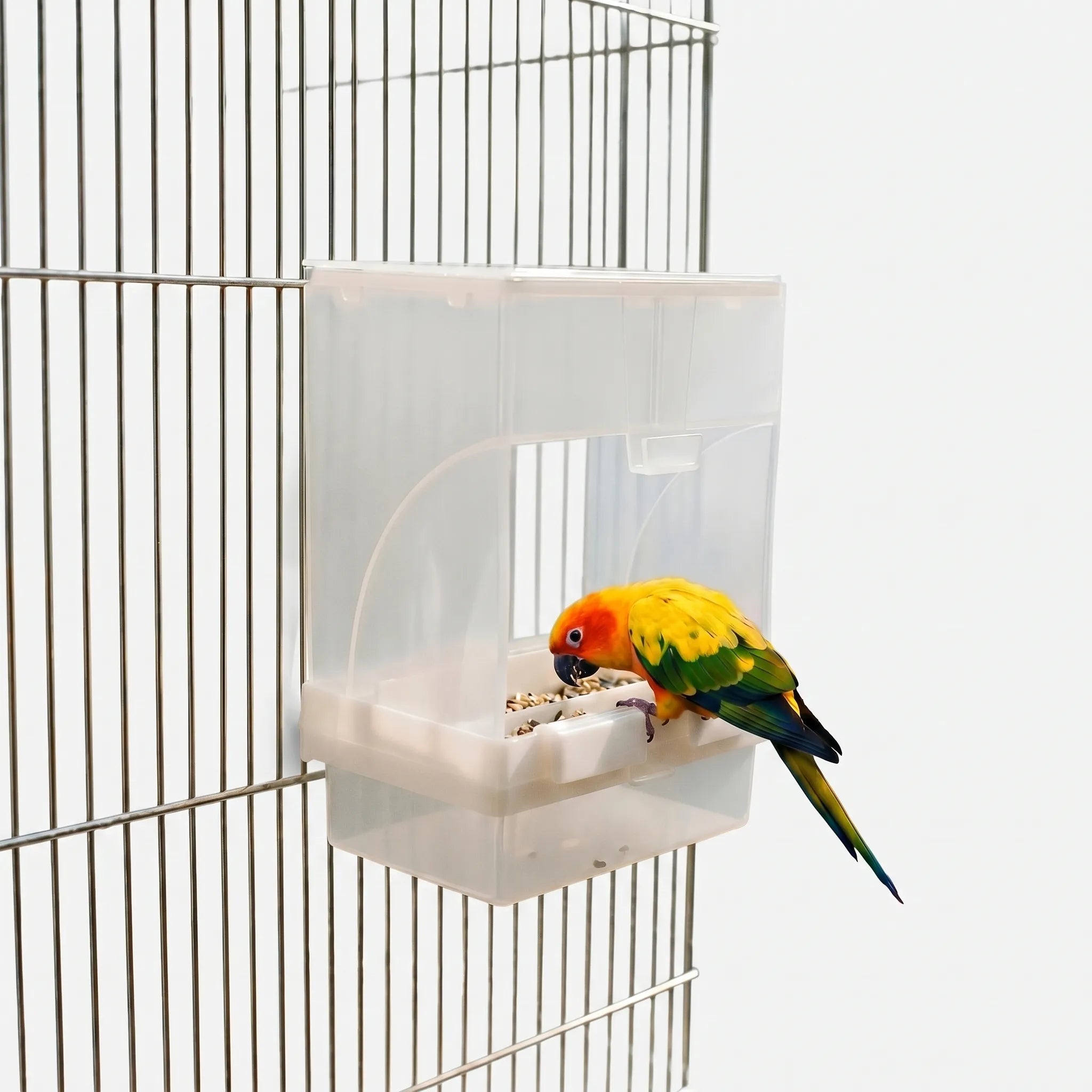 Nordspur | AviaFeed Automatic Cage Bird Feeder
