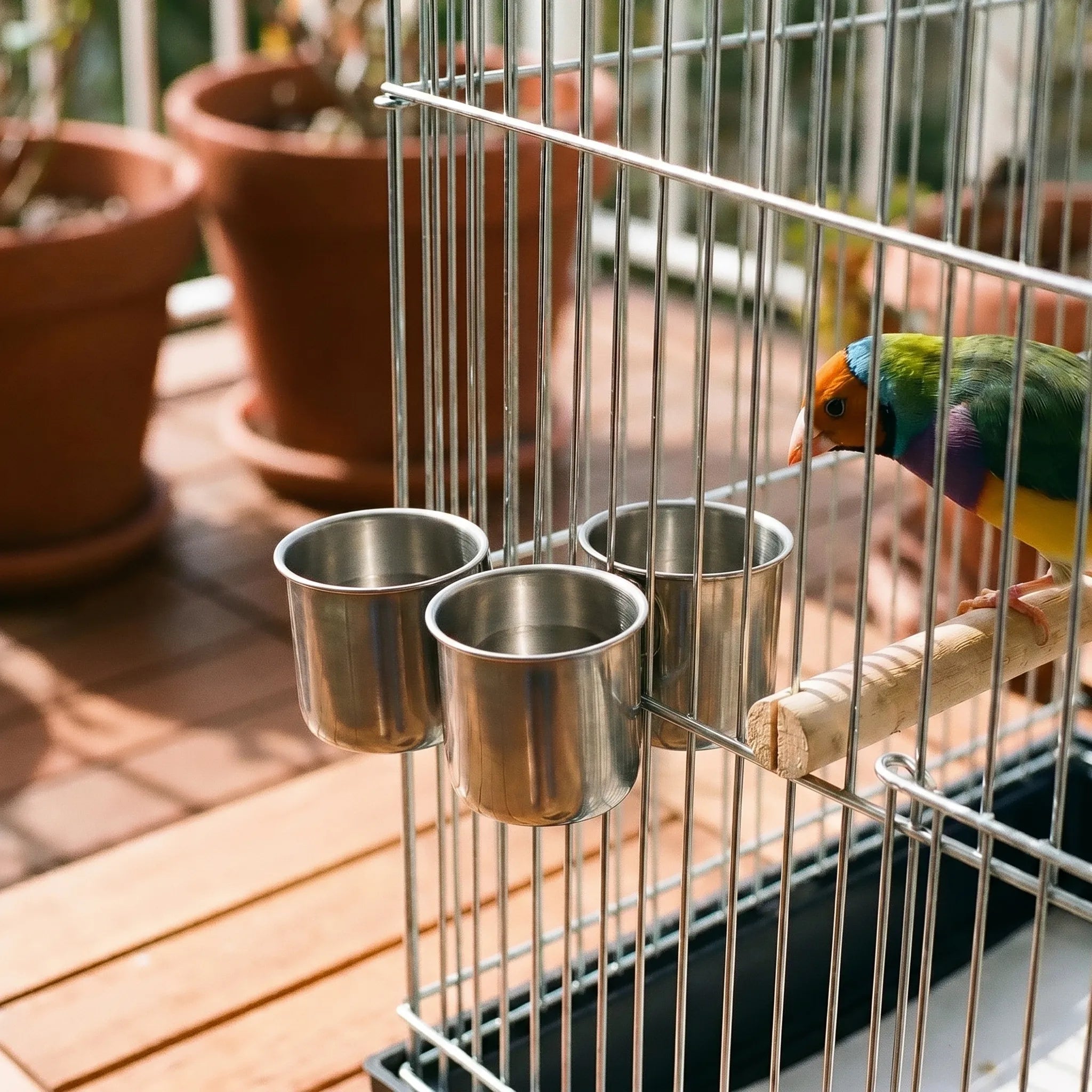 Nordspur | Aviora Clip-On Bird Feeder