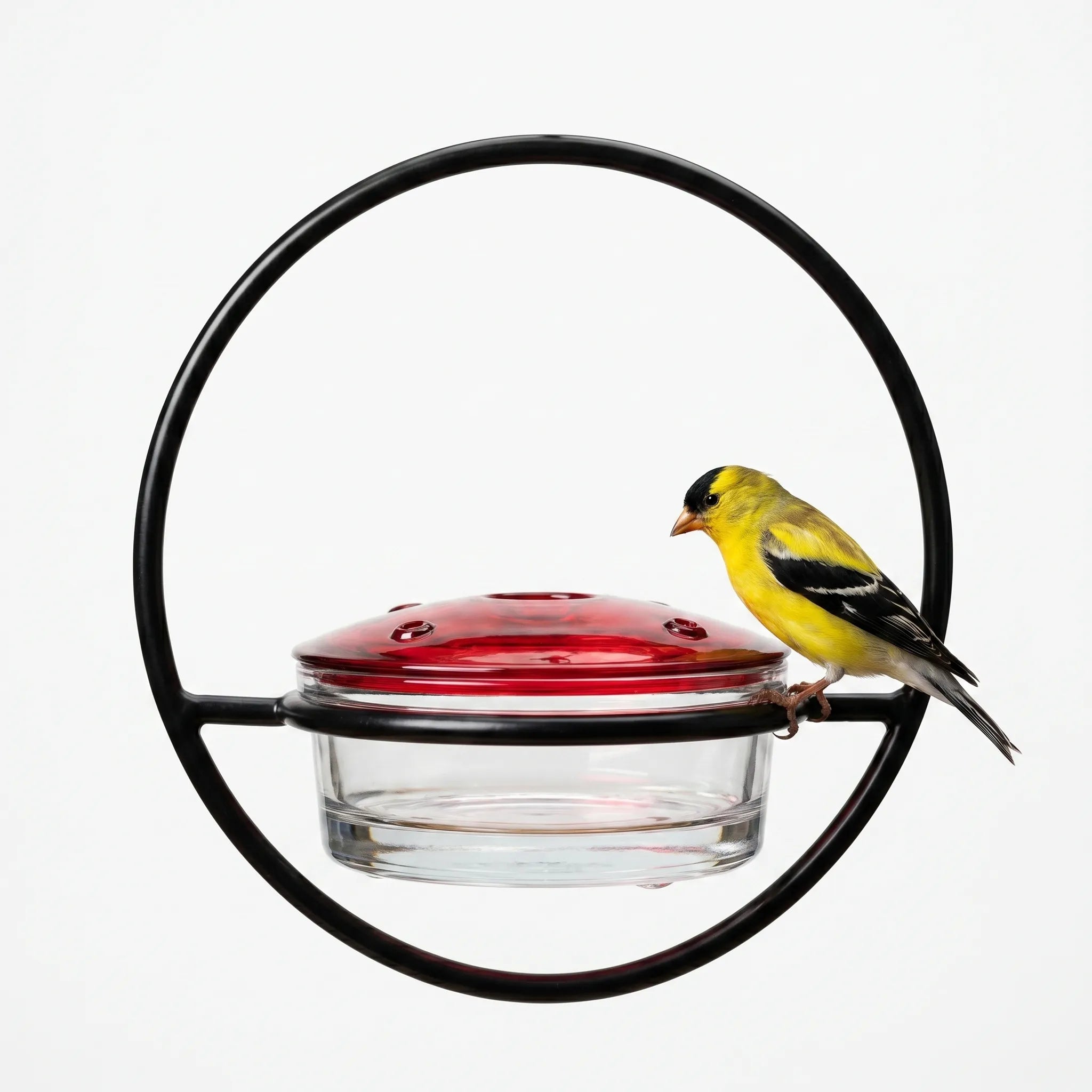 Nordspur | Bloomdrop Hanging Bird Feeder