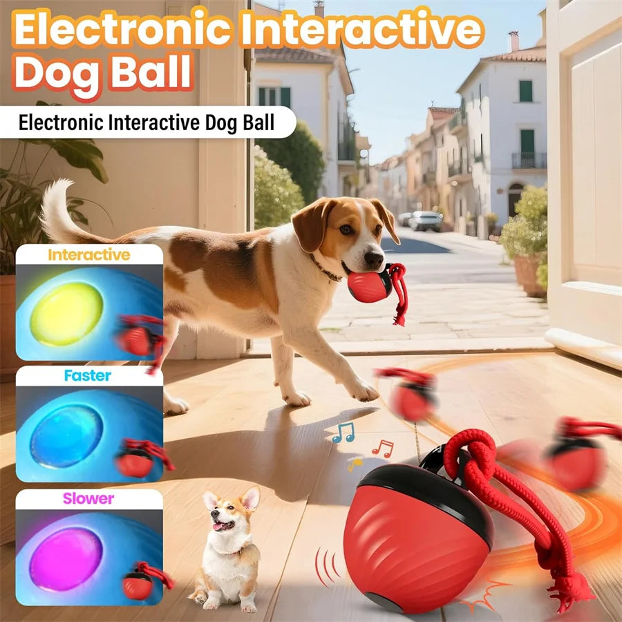 Automatischer Hüpfball für Hunde und Katzen interaktives Spielzeug