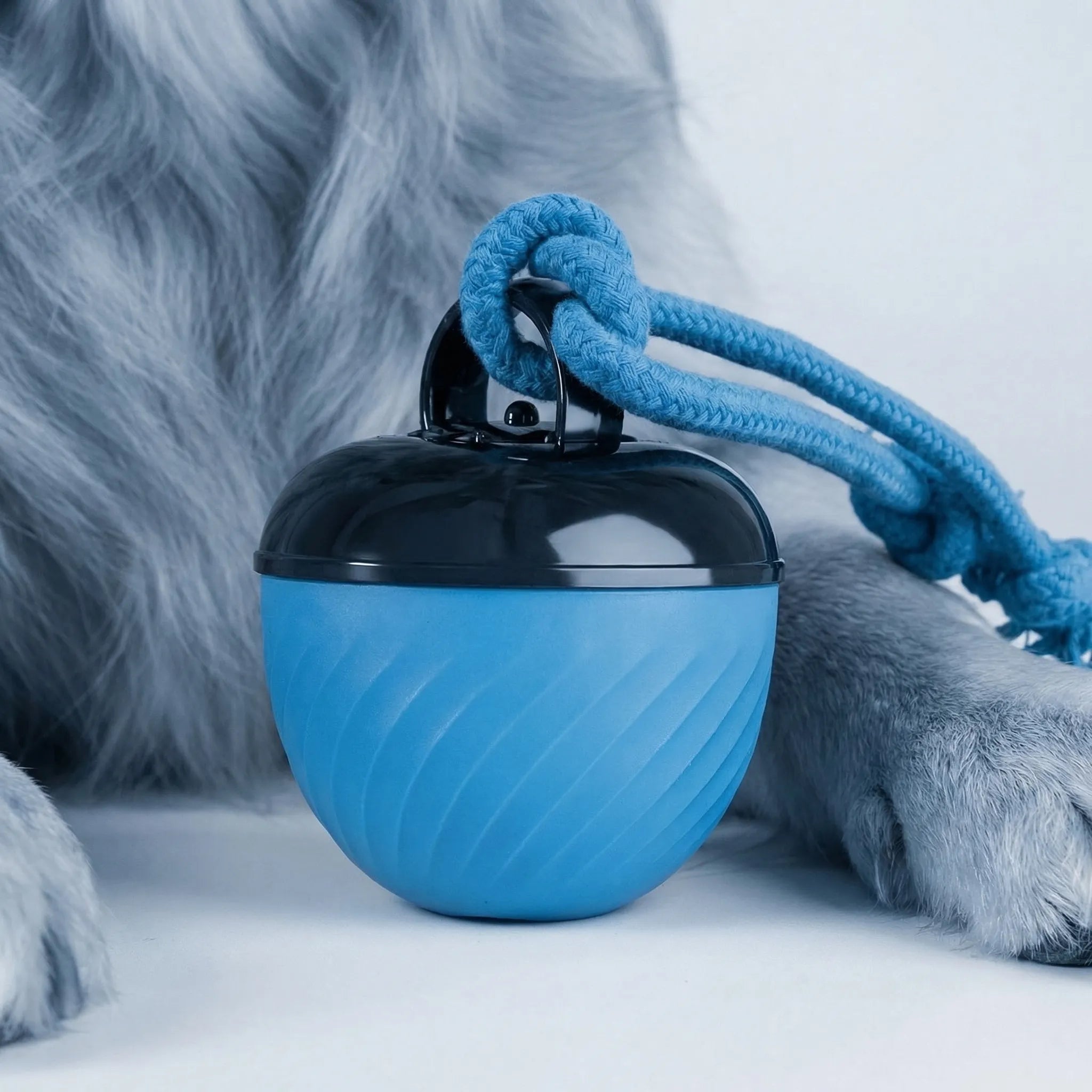 Automatischer Hüpfball für Hunde und Katzen interaktives Spielzeug
