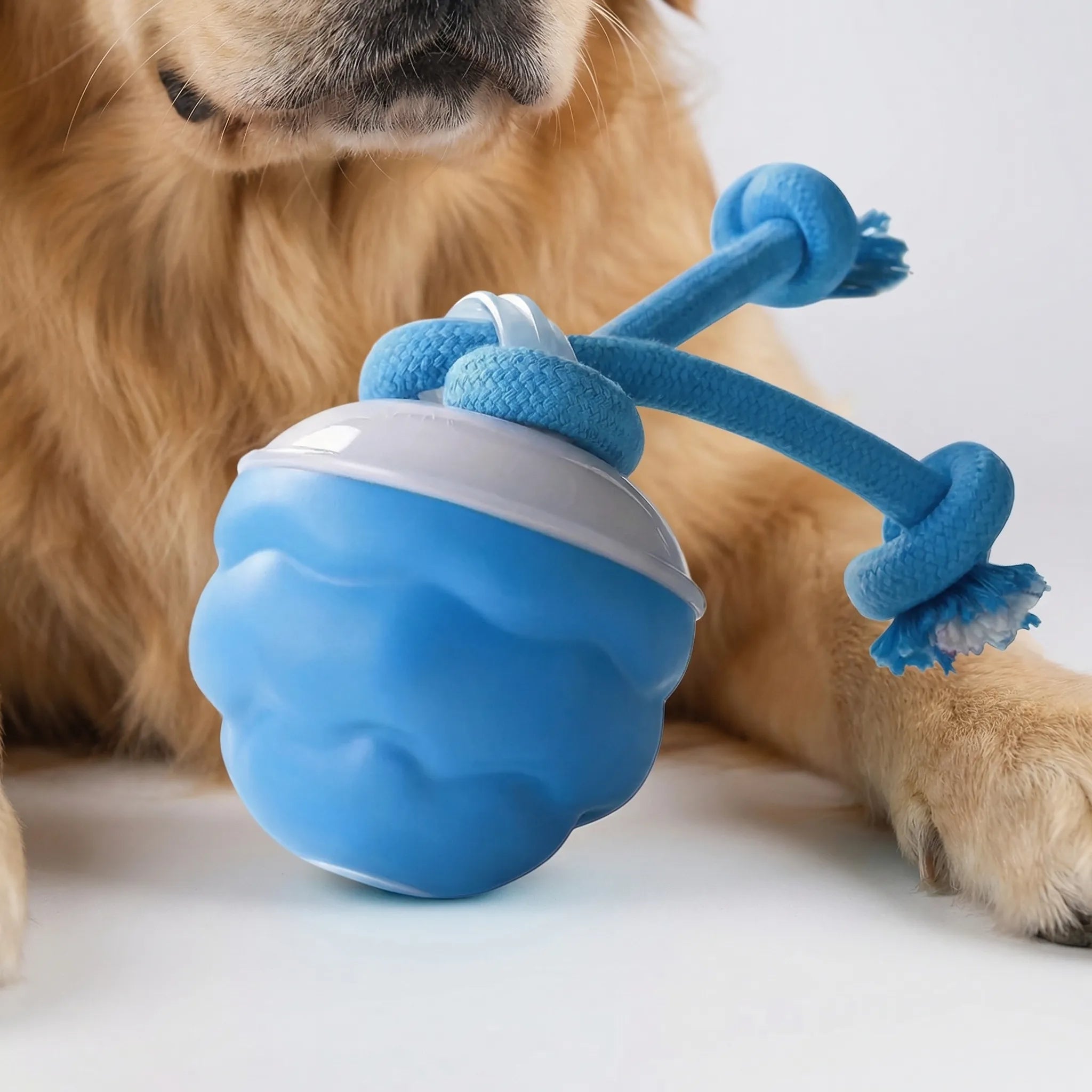 Automatischer Hüpfball für Hunde und Katzen interaktives Spielzeug