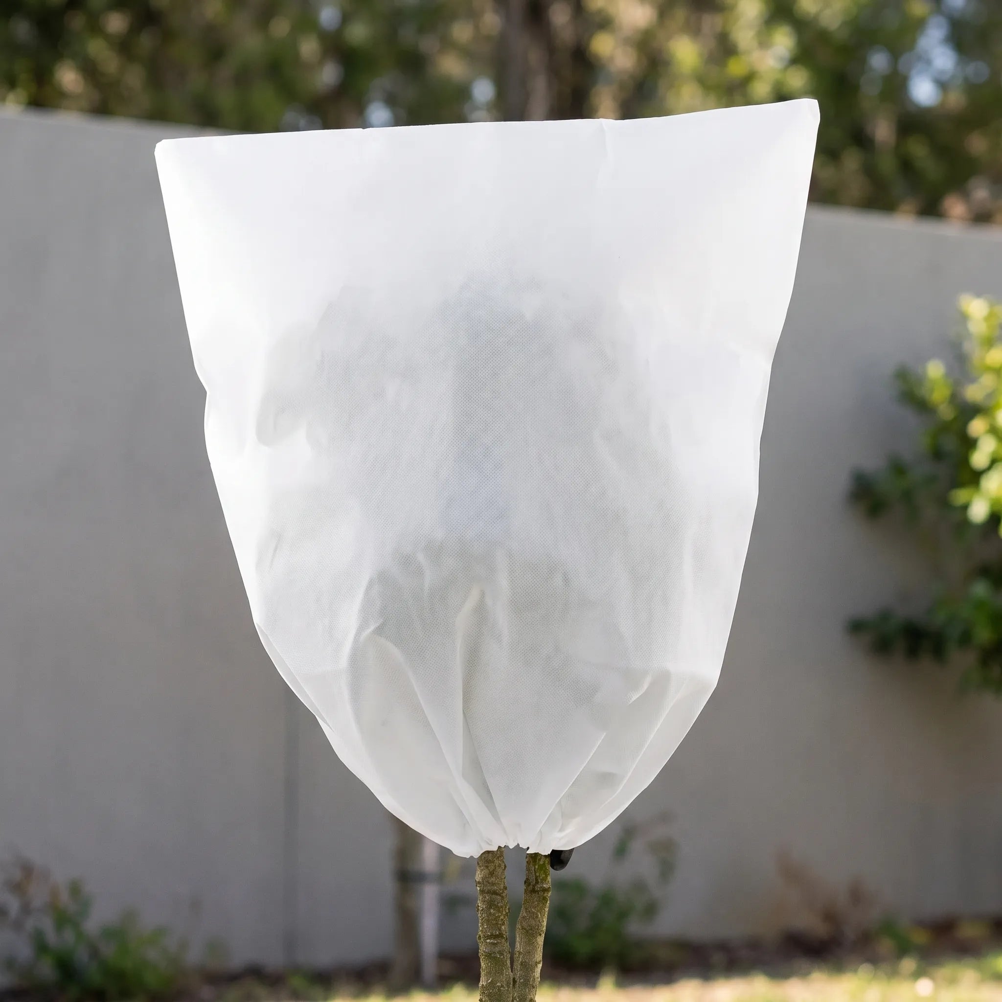 Nordspur | Botaniwrap Reusable Winter Plant Frost Cover