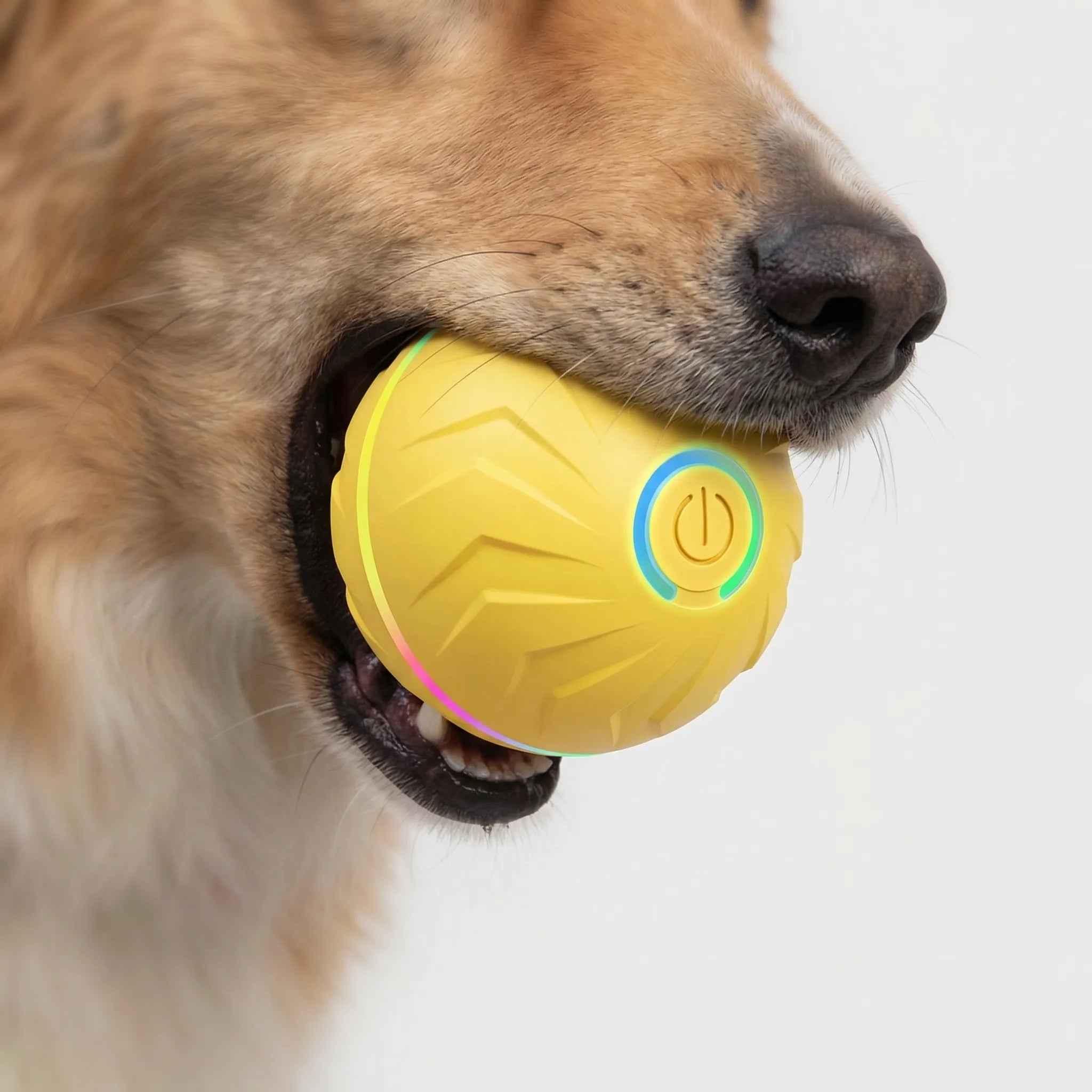 Selbstbewegender Hundespielball mit LED-Licht und Schwerkraftsensor