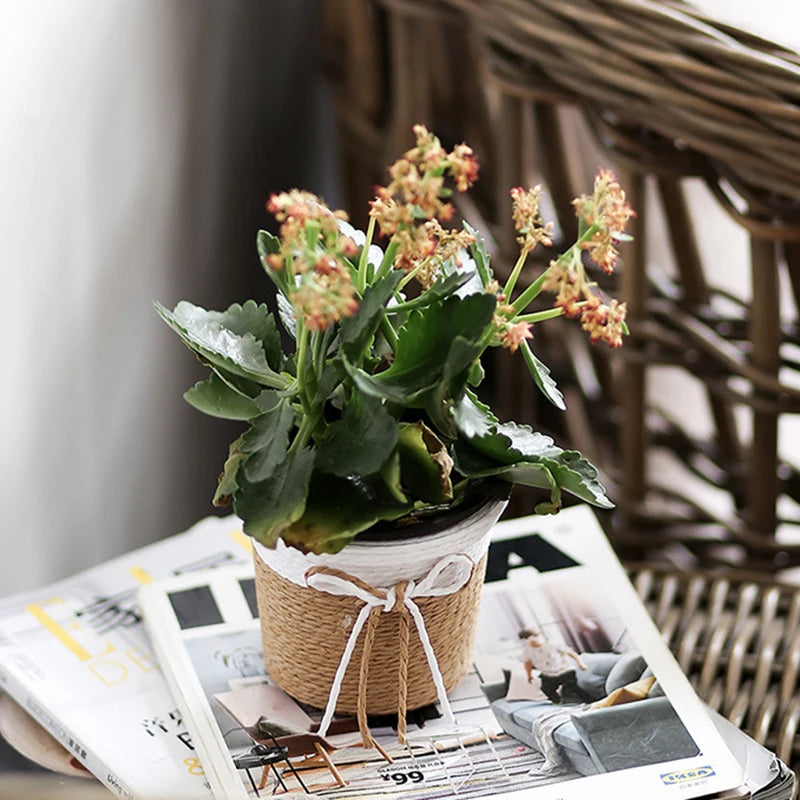 Nordspur | Bramblette Hand-Woven Two-Tone Planter Basket