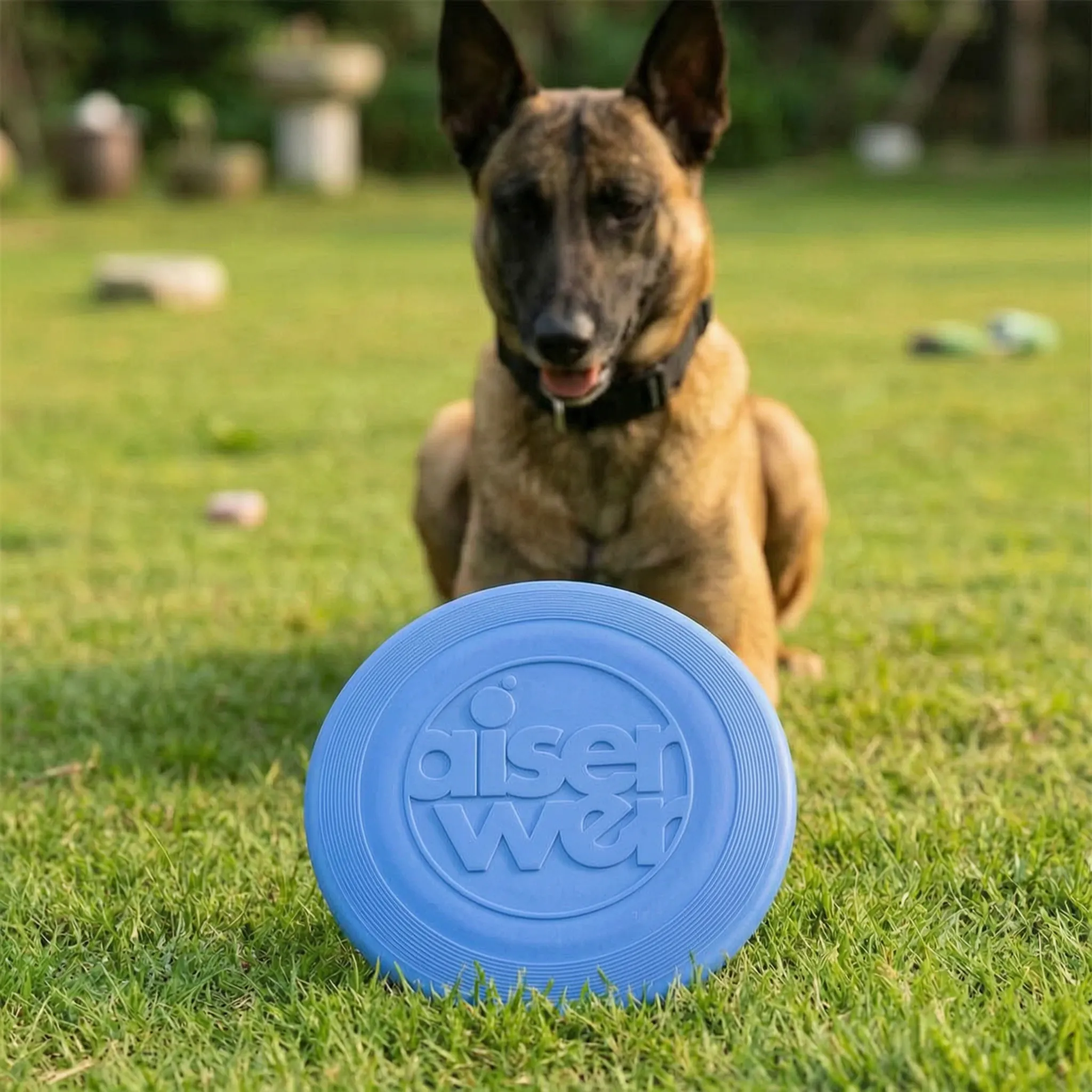 Nordspur | Bravion Flexible Flying Disc