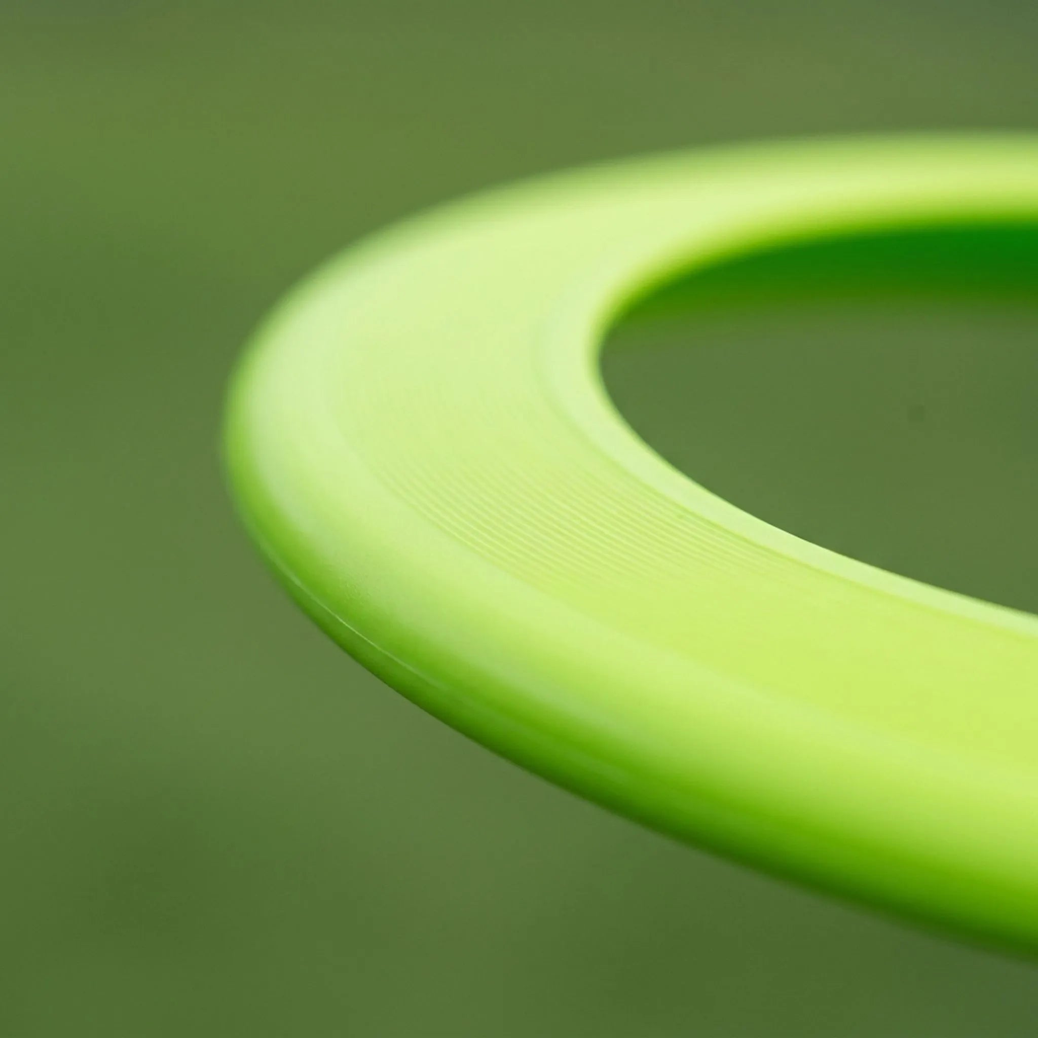 Nordspur | Bravion Flexible Flying Disc