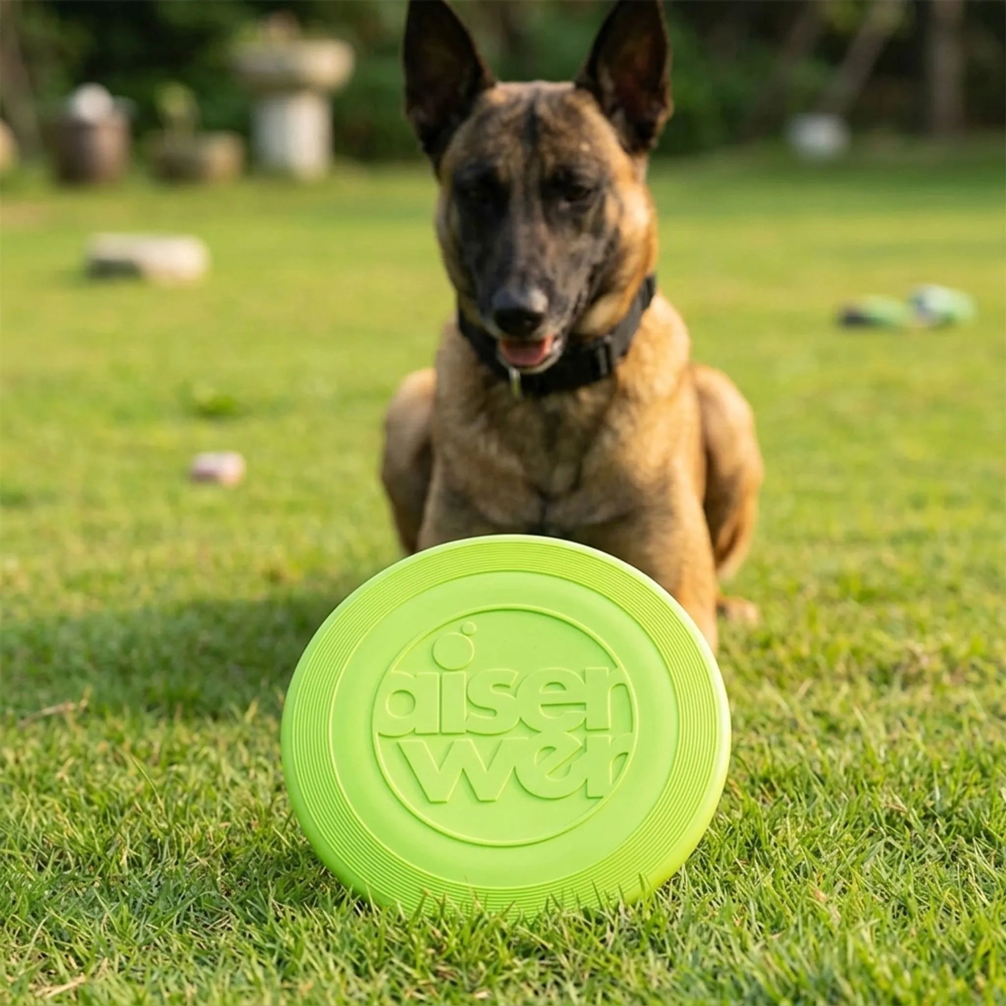 Nordspur | Bravion Flexible Flying Disc