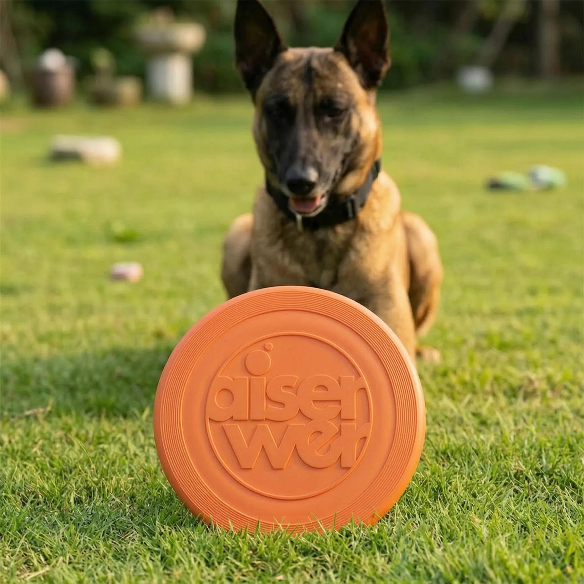 Nordspur | Bravion Flexible Flying Disc