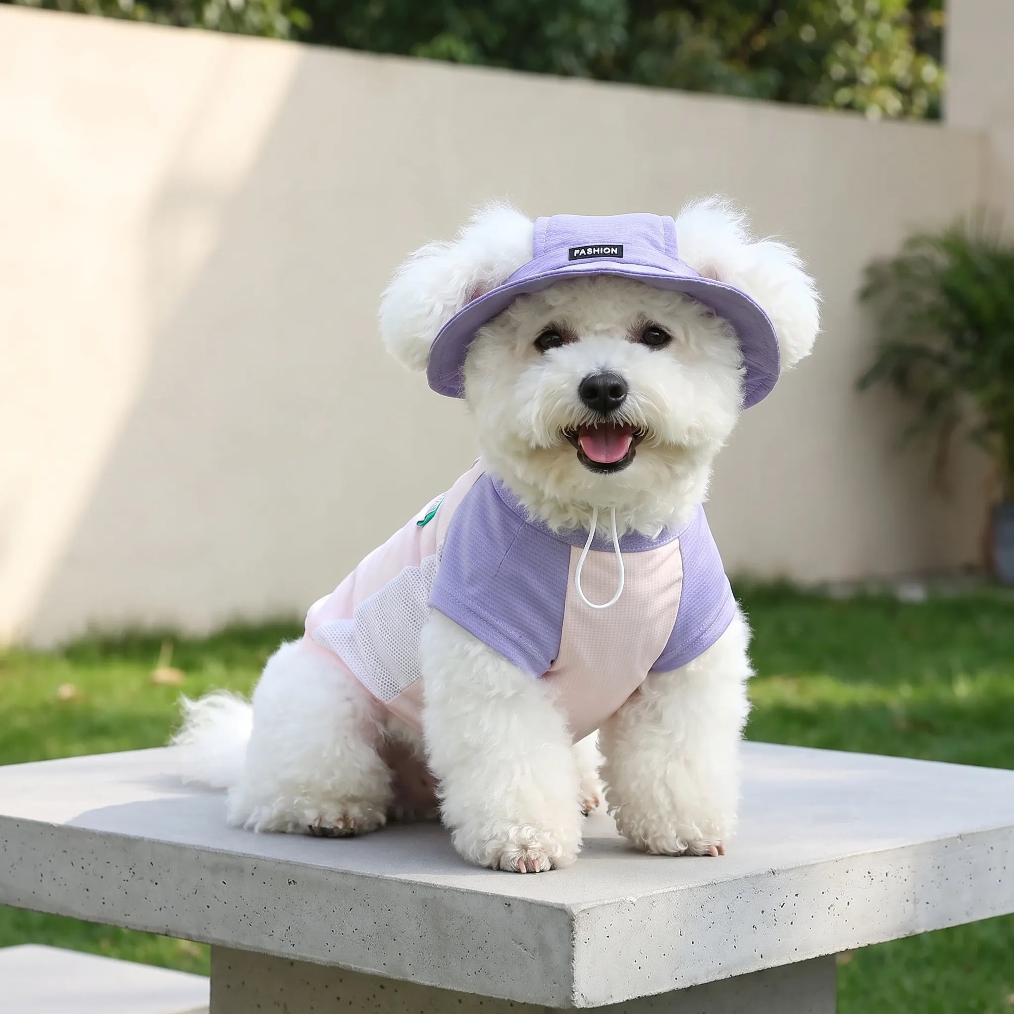 Nordspur | Breezari Lightweight Breathable Dog Vest