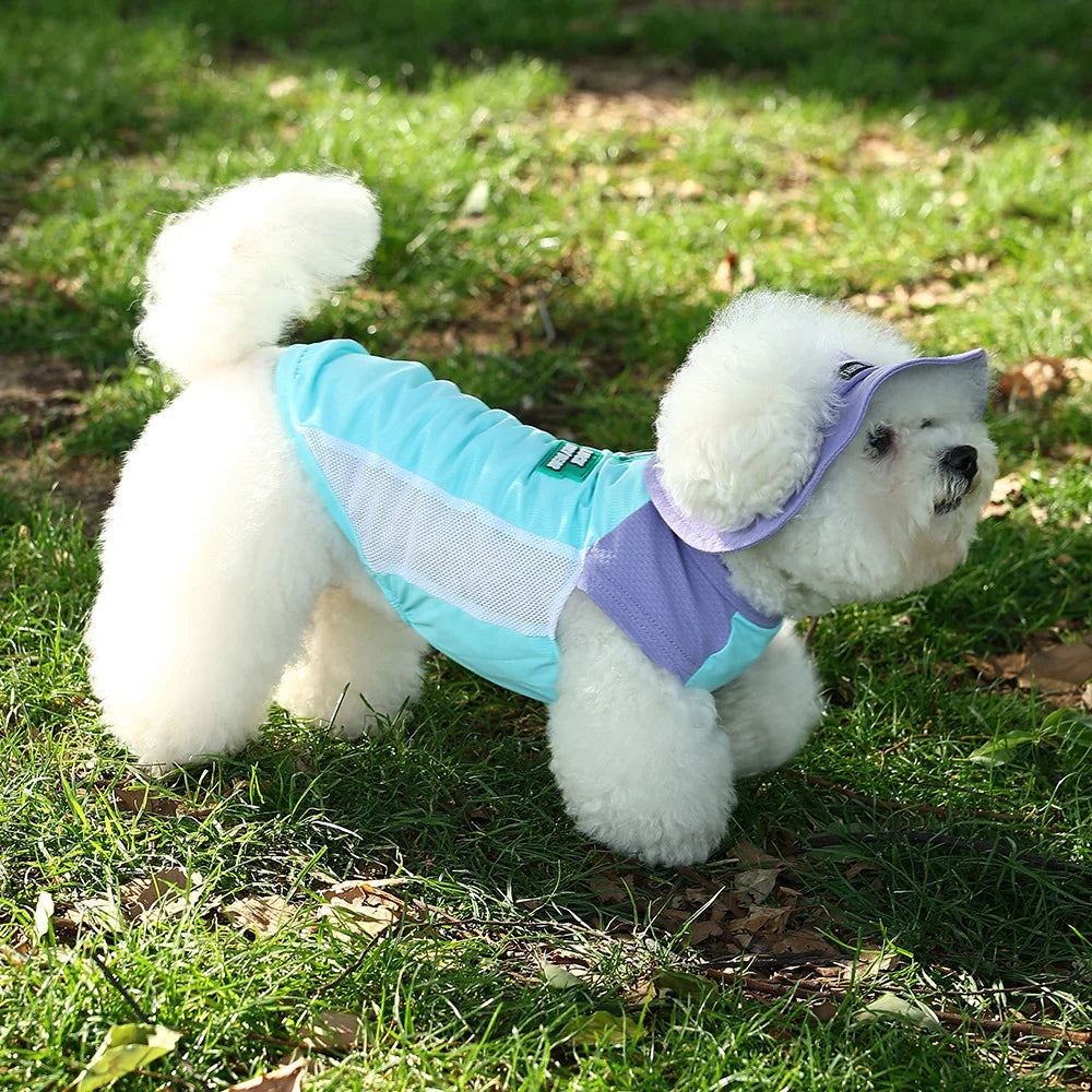 Nordspur | Breezari Lightweight Breathable Dog Vest