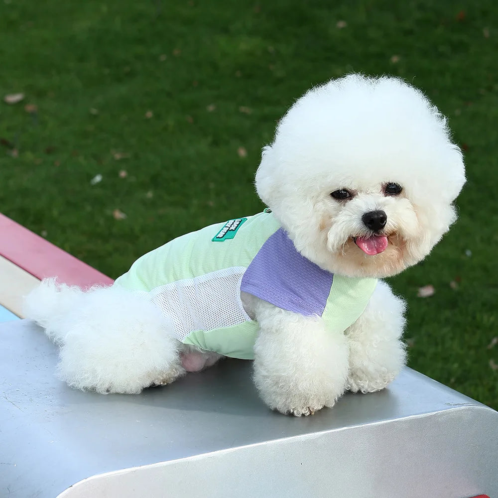 Nordspur | Breezari Lightweight Breathable Dog Vest