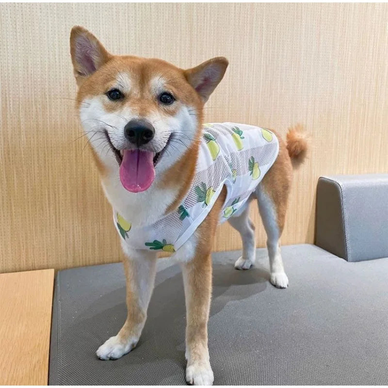 Nordspur | Breezepaws Breathable Printed Dog Vest
