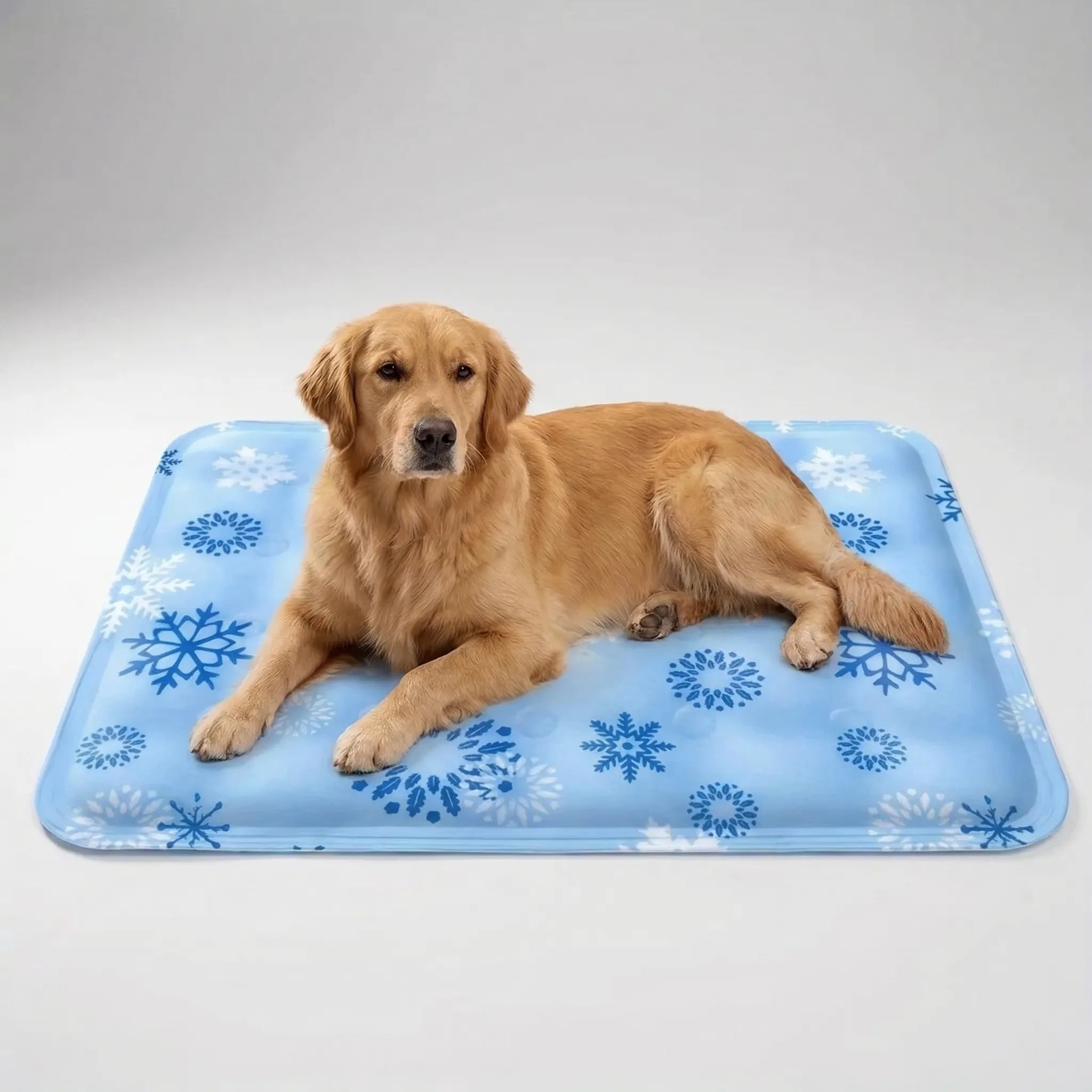Nordspur | Chillova Water-Filled Pet Cooling Mat