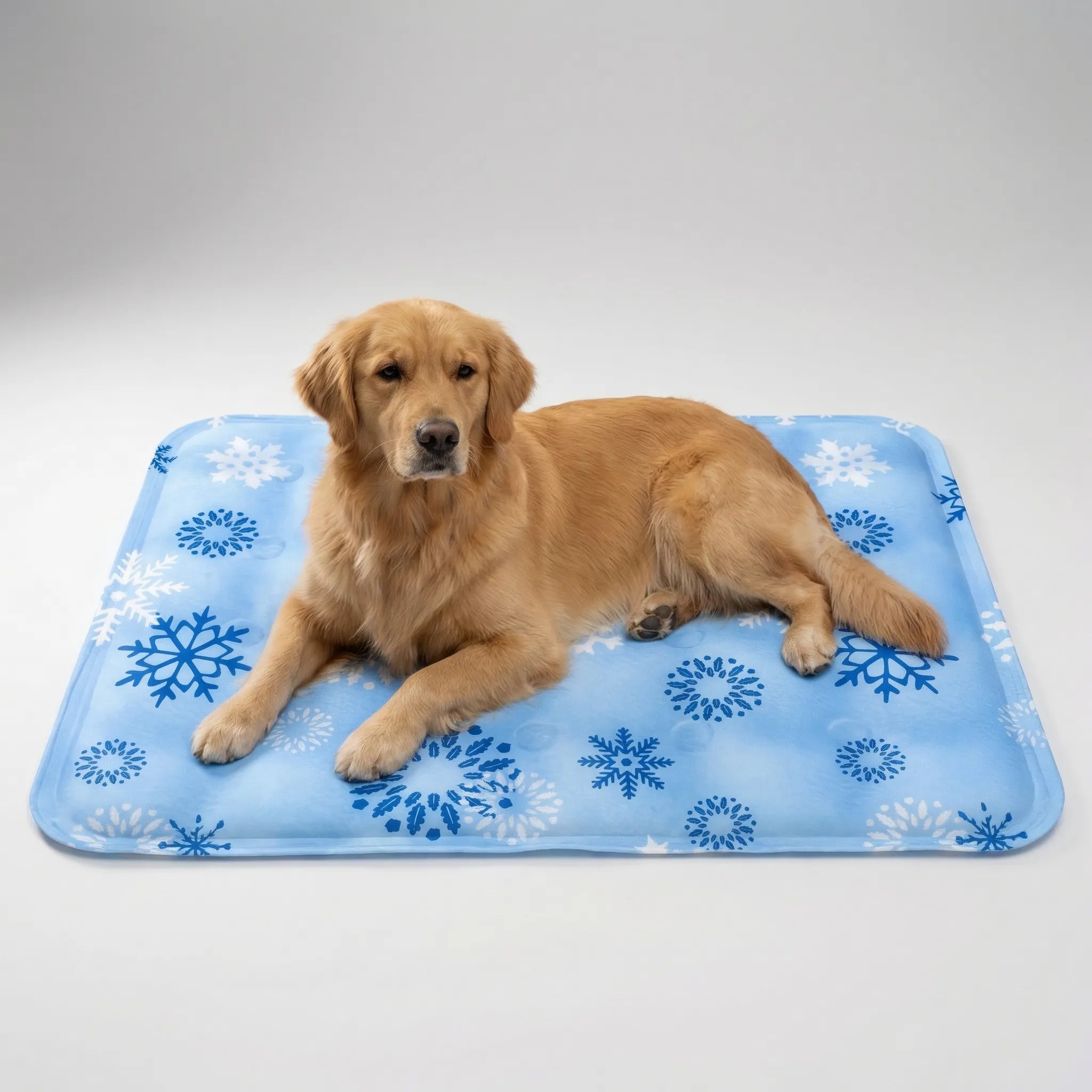 Nordspur | Chillova Water-Filled Pet Cooling Mat