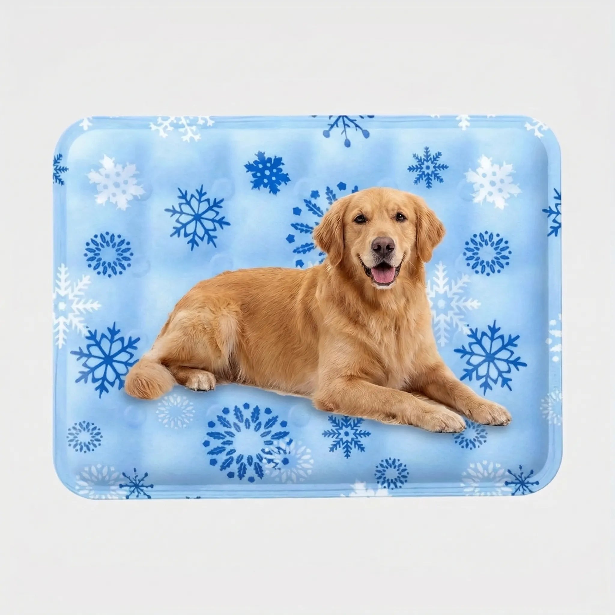 Nordspur | Chillova Water-Filled Pet Cooling Mat