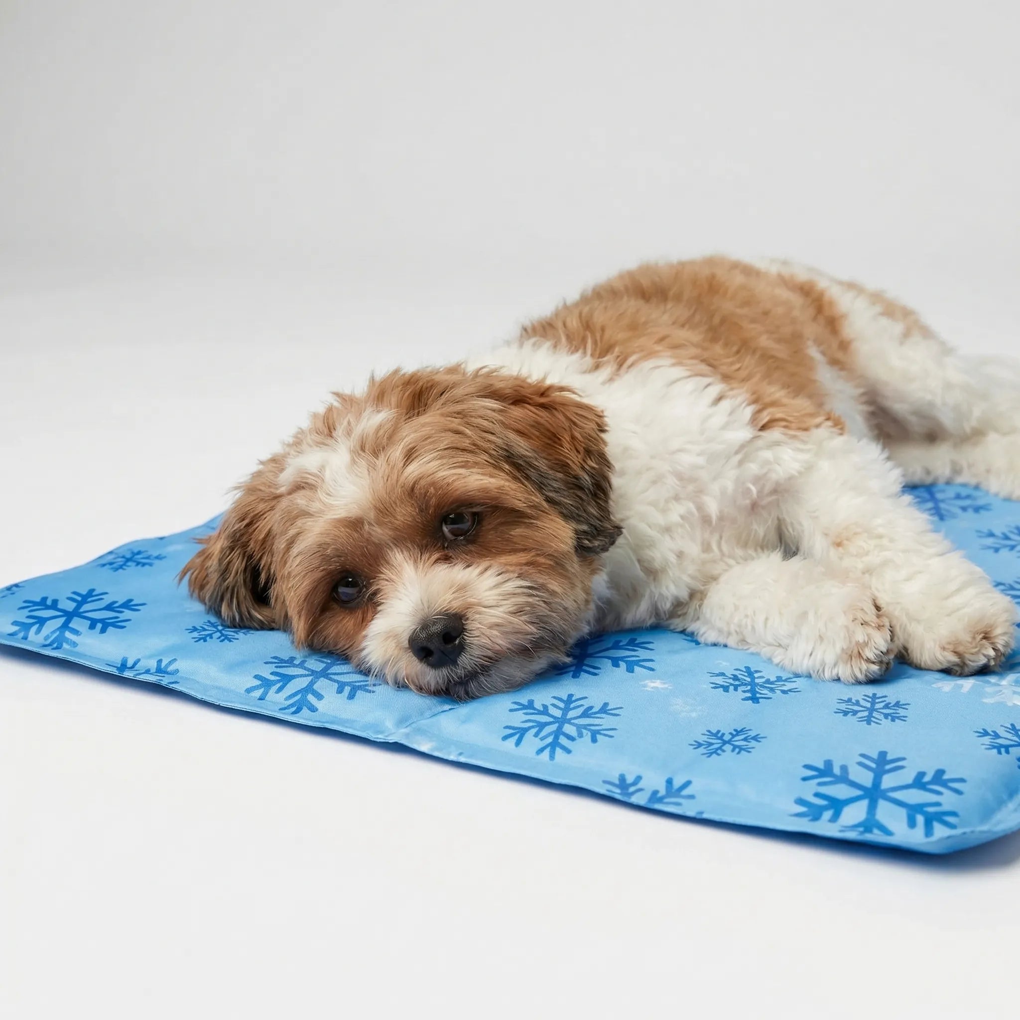 Nordspur | Chillova Water-Filled Pet Cooling Mat