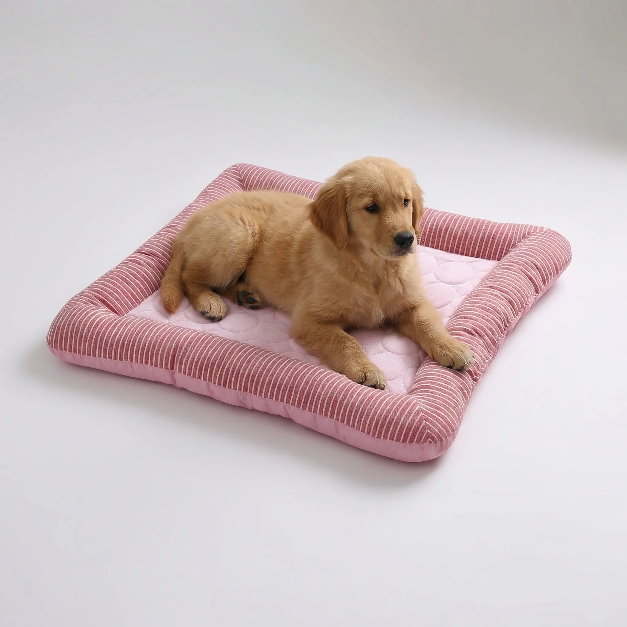 Nordspur | Chillpaw Breathable Summer Cooling Pet Mat