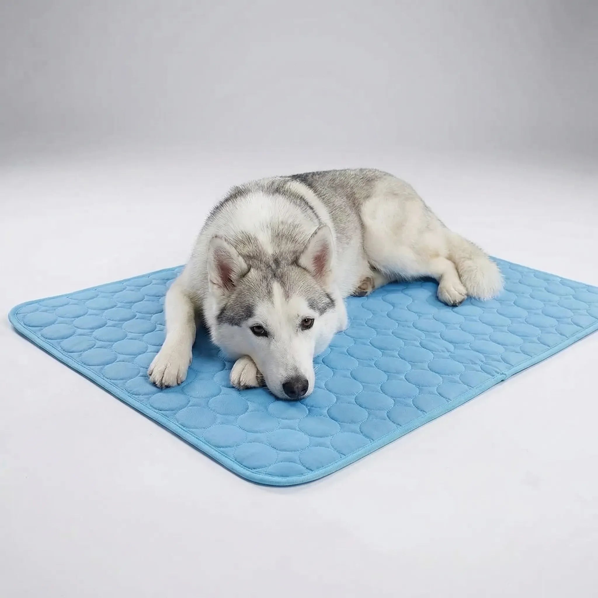 Nordspur | Chillpaw Quilted Cooling Mat For Pets