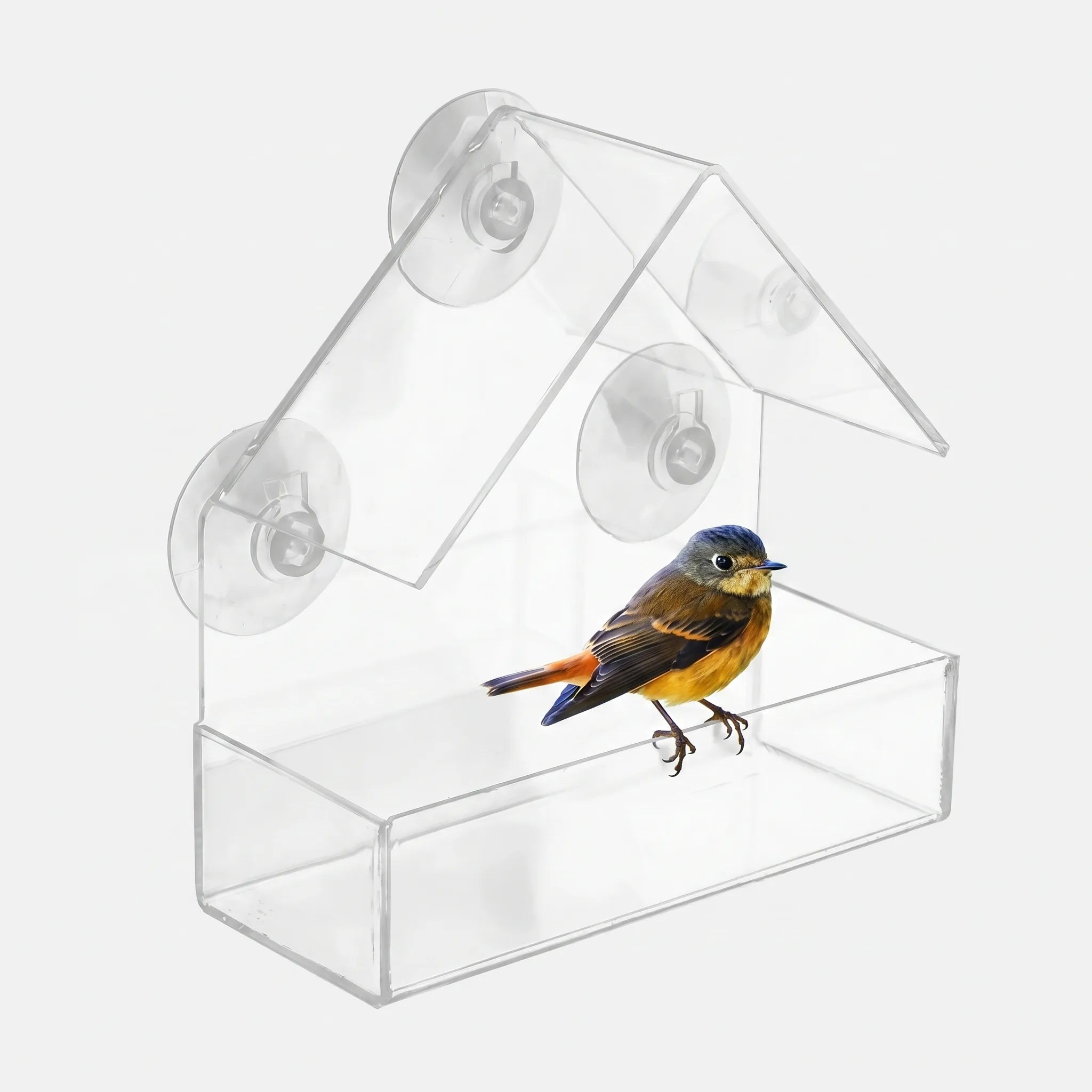 Nordspur | Clarost Clear Window Bird House