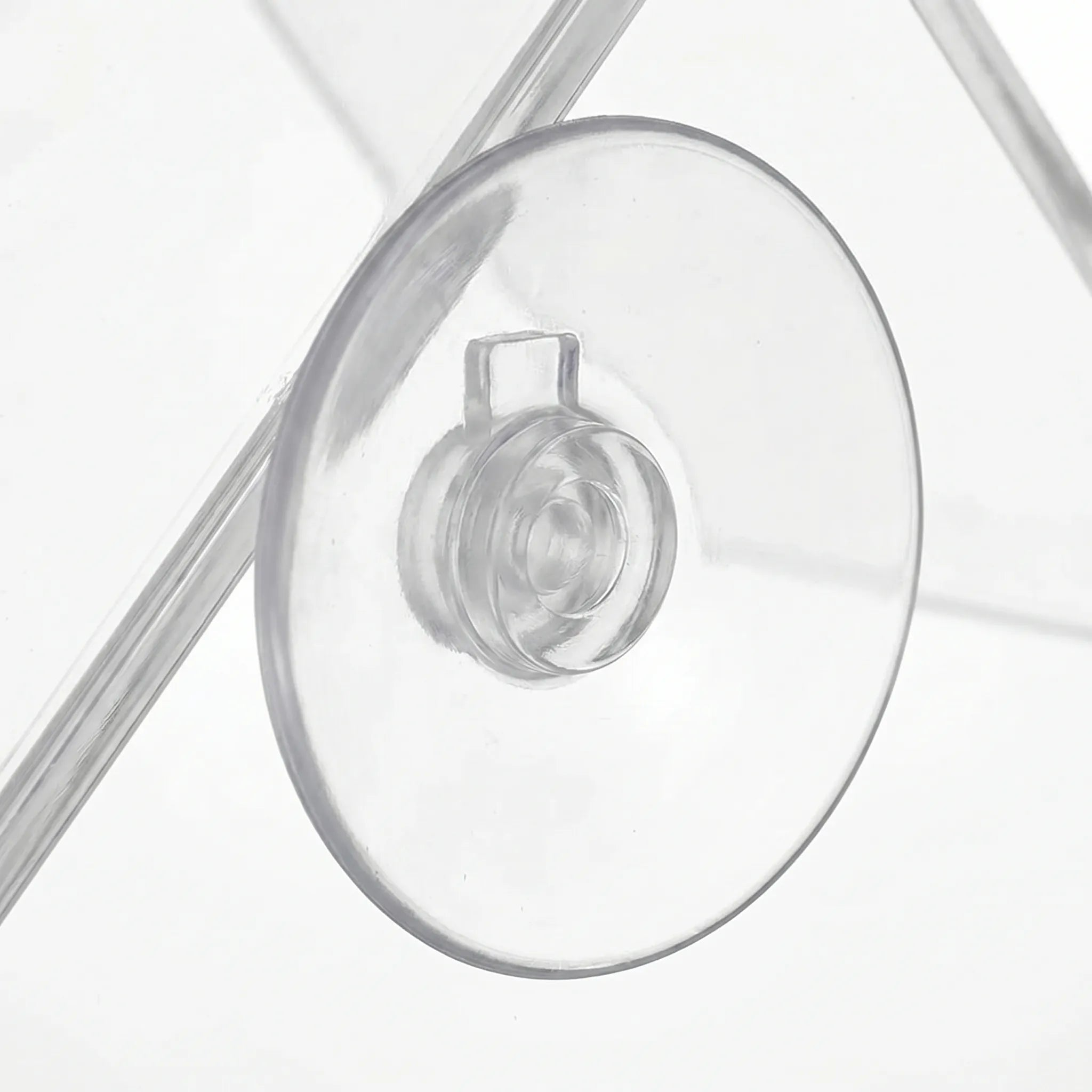 Nordspur | Clarost Clear Window Bird House