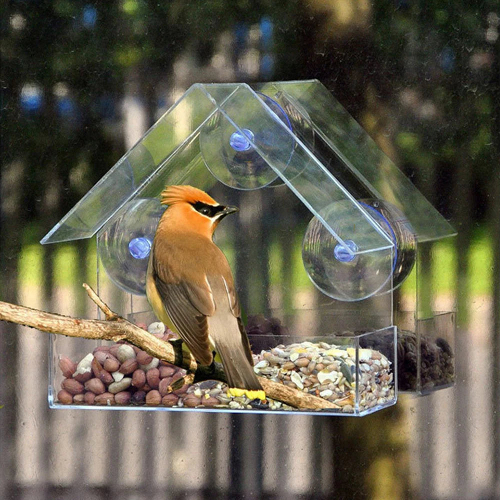 Nordspur | Clarost Clear Window Bird House