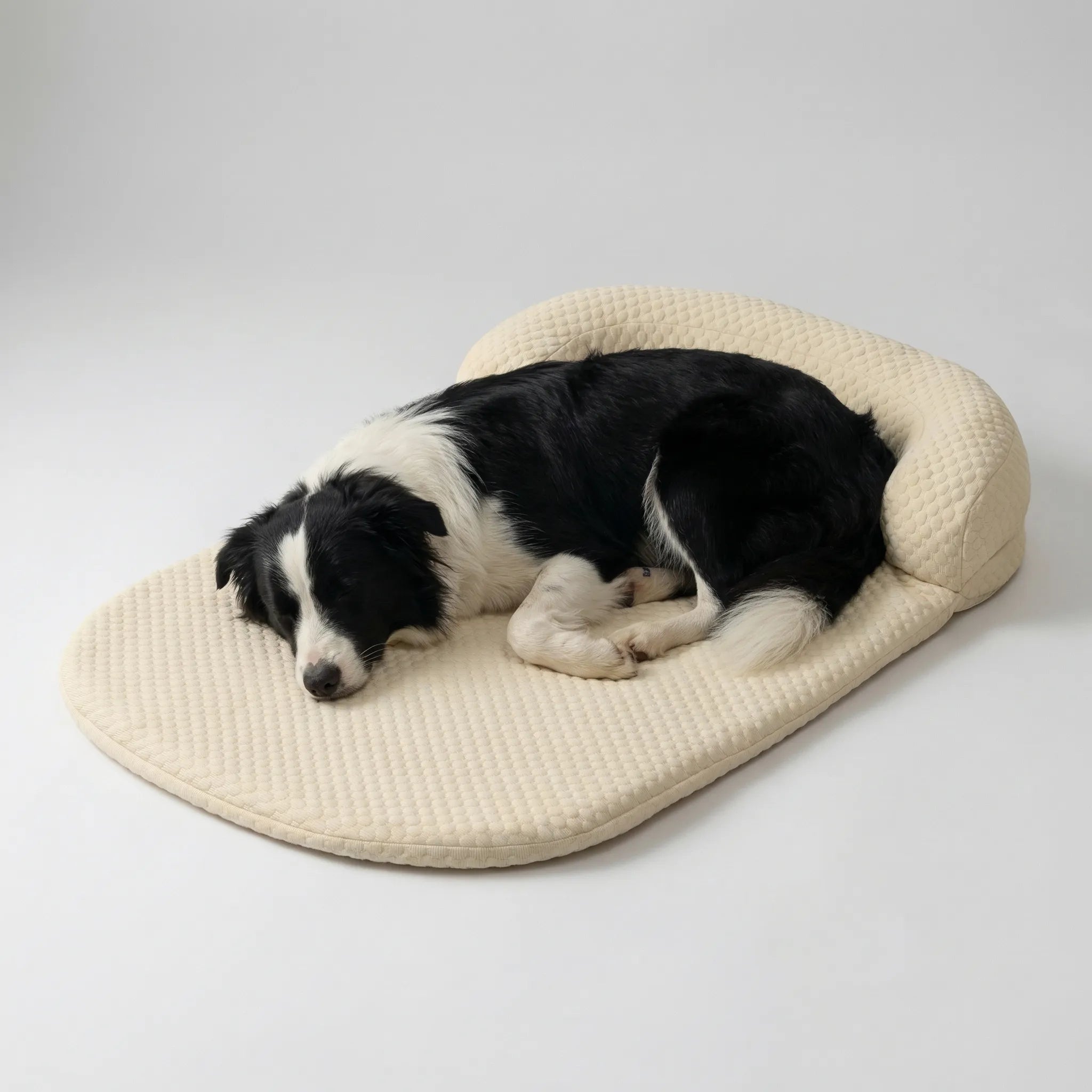 Nordspur | Coolova Cooling Foam Pet Bed With Bolster