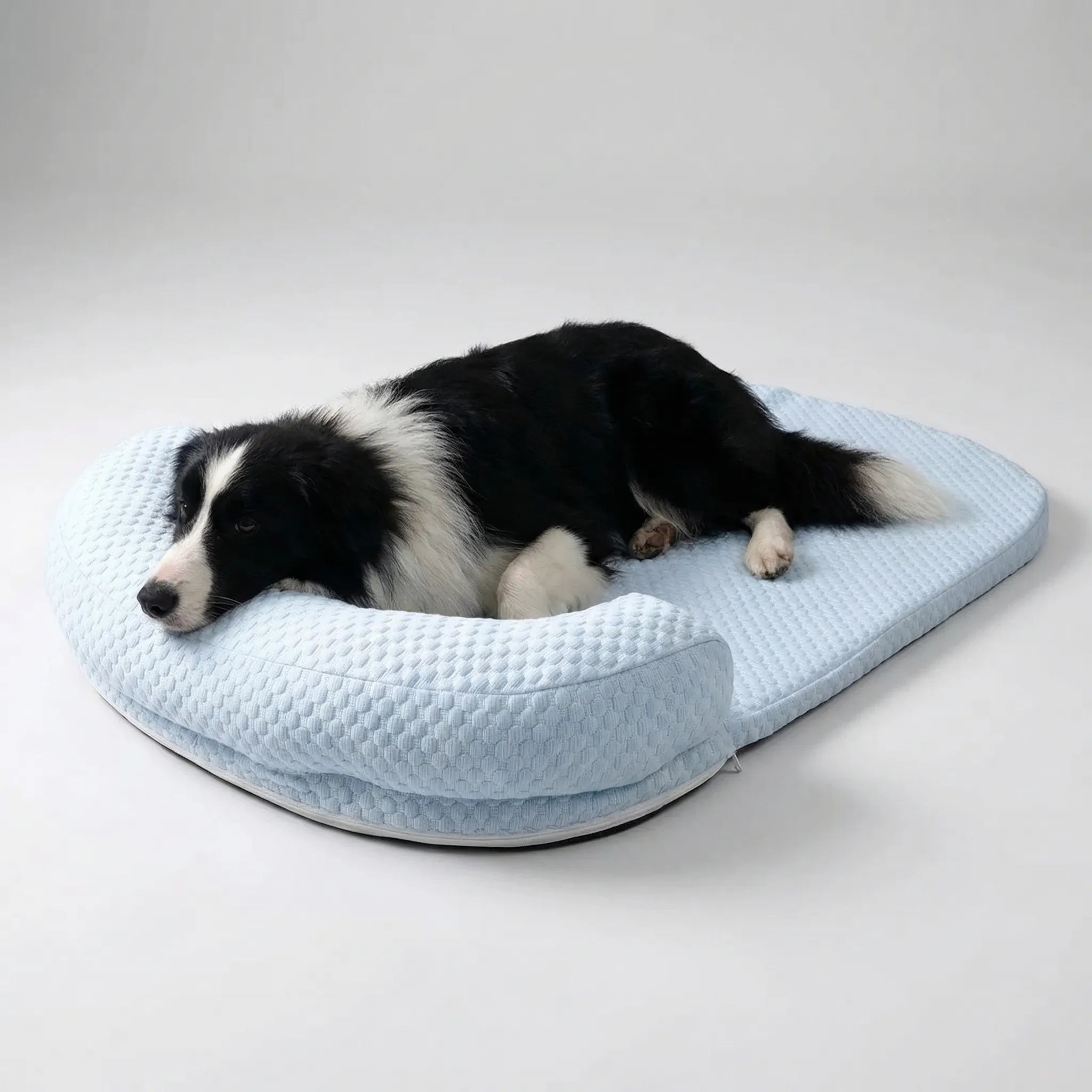 Nordspur | Coolova Cooling Foam Pet Bed With Bolster