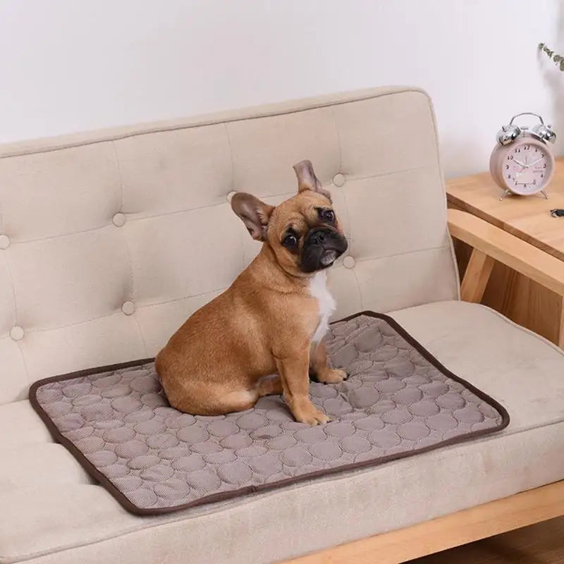 Nordspur | Coolpaw Breathable Mesh Cooling Pet Mat