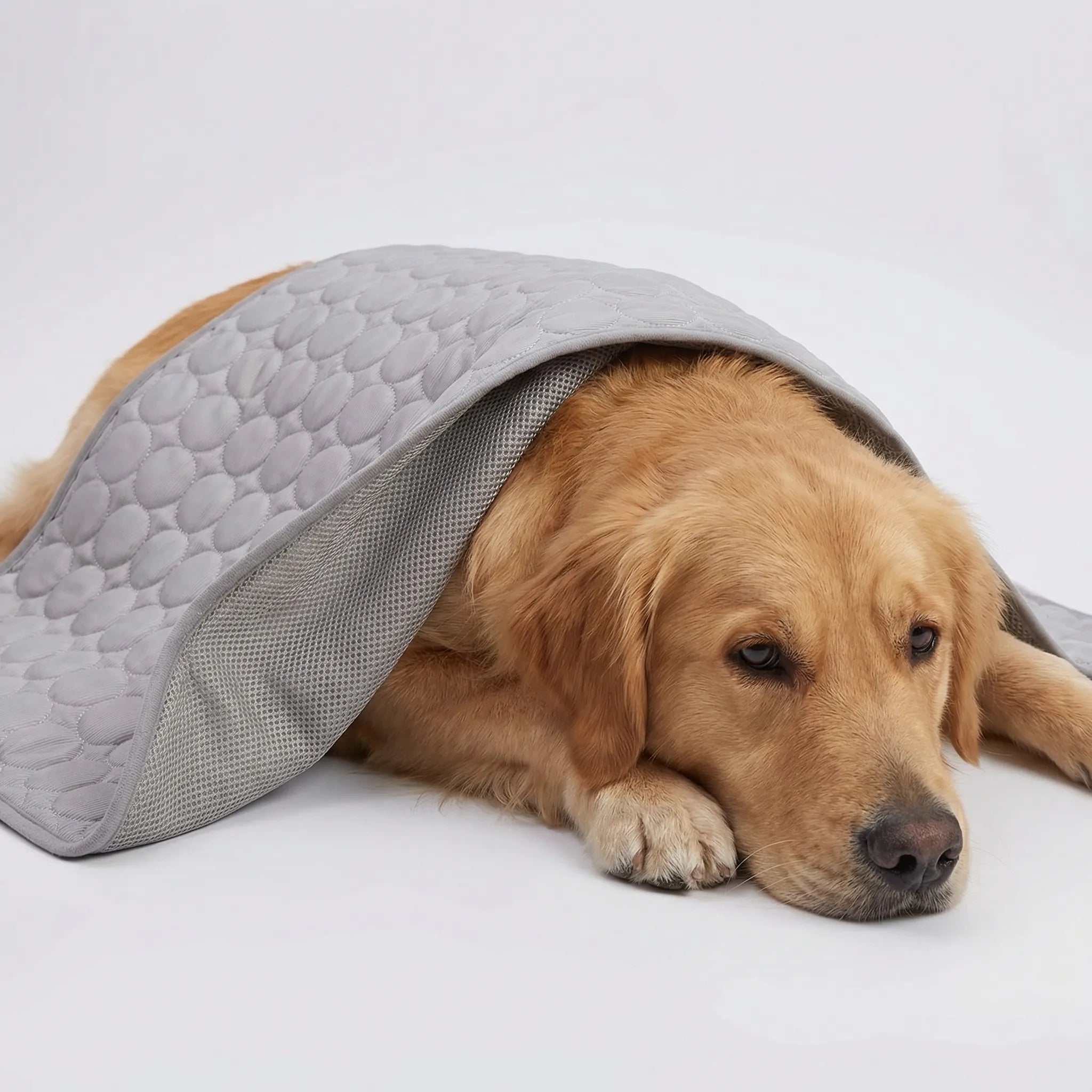 Nordspur | Coolpaw Breathable Mesh Cooling Pet Mat