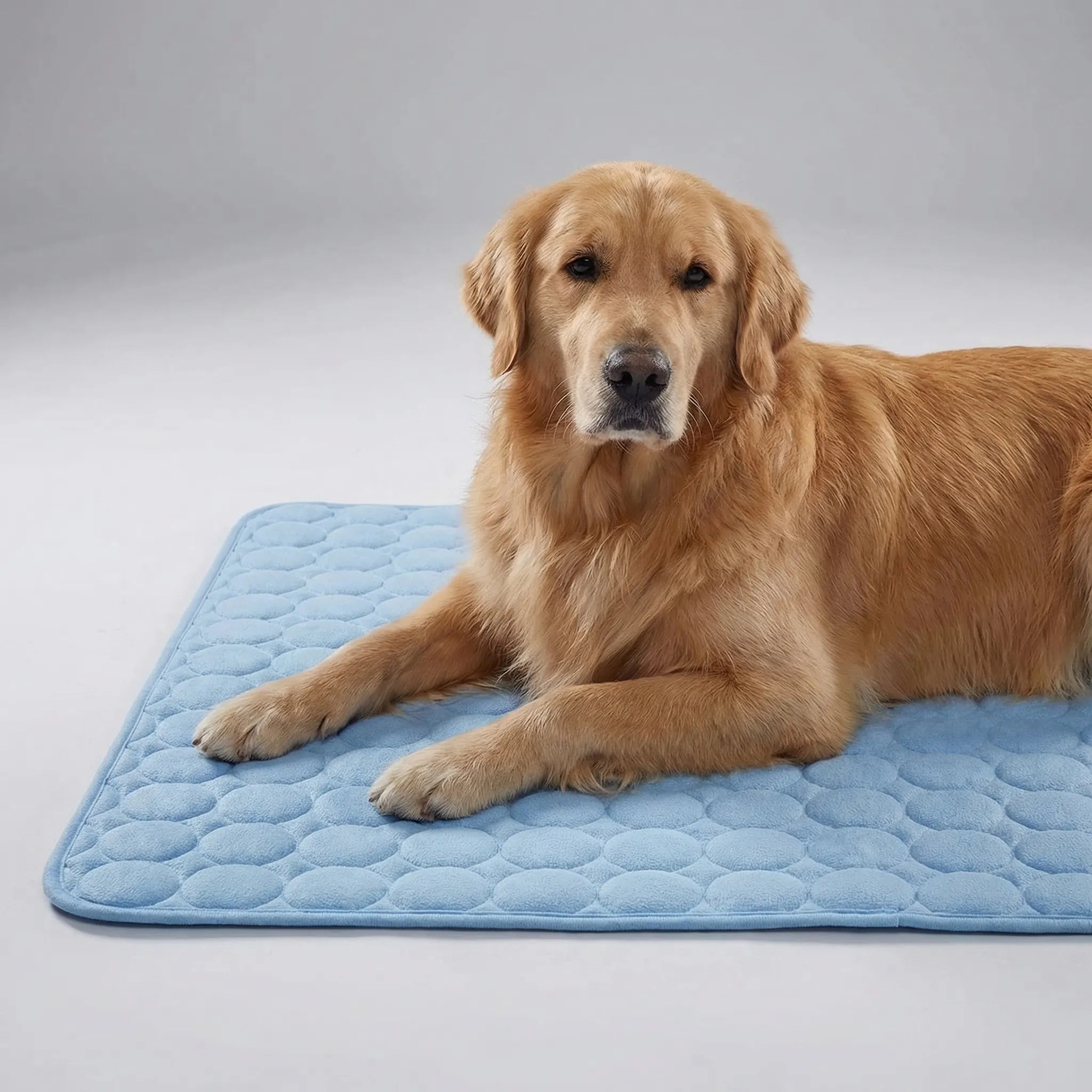 Nordspur | Coolpaw Breathable Mesh Cooling Pet Mat