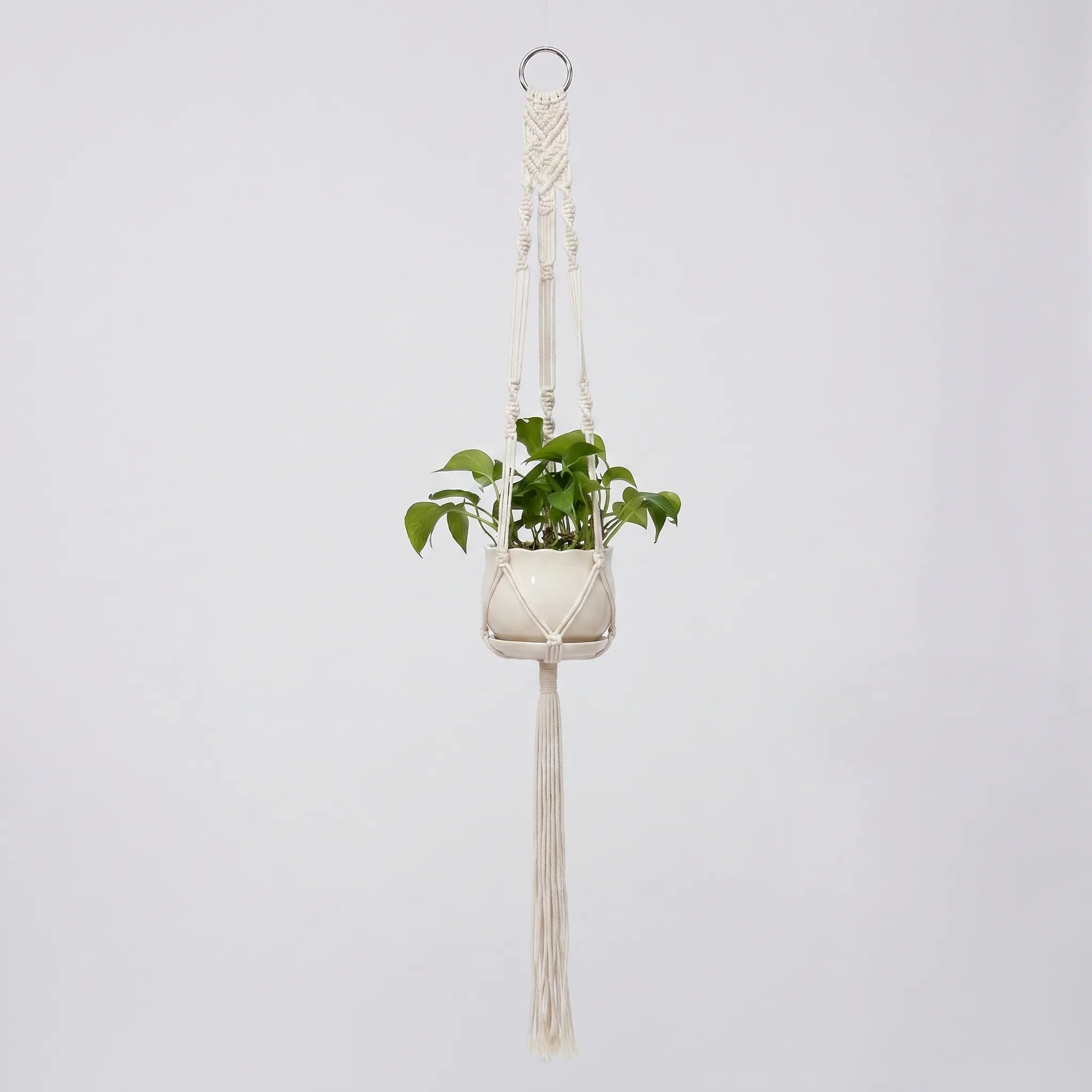Nordspur | Cordani Woven Hanging Plant Holder